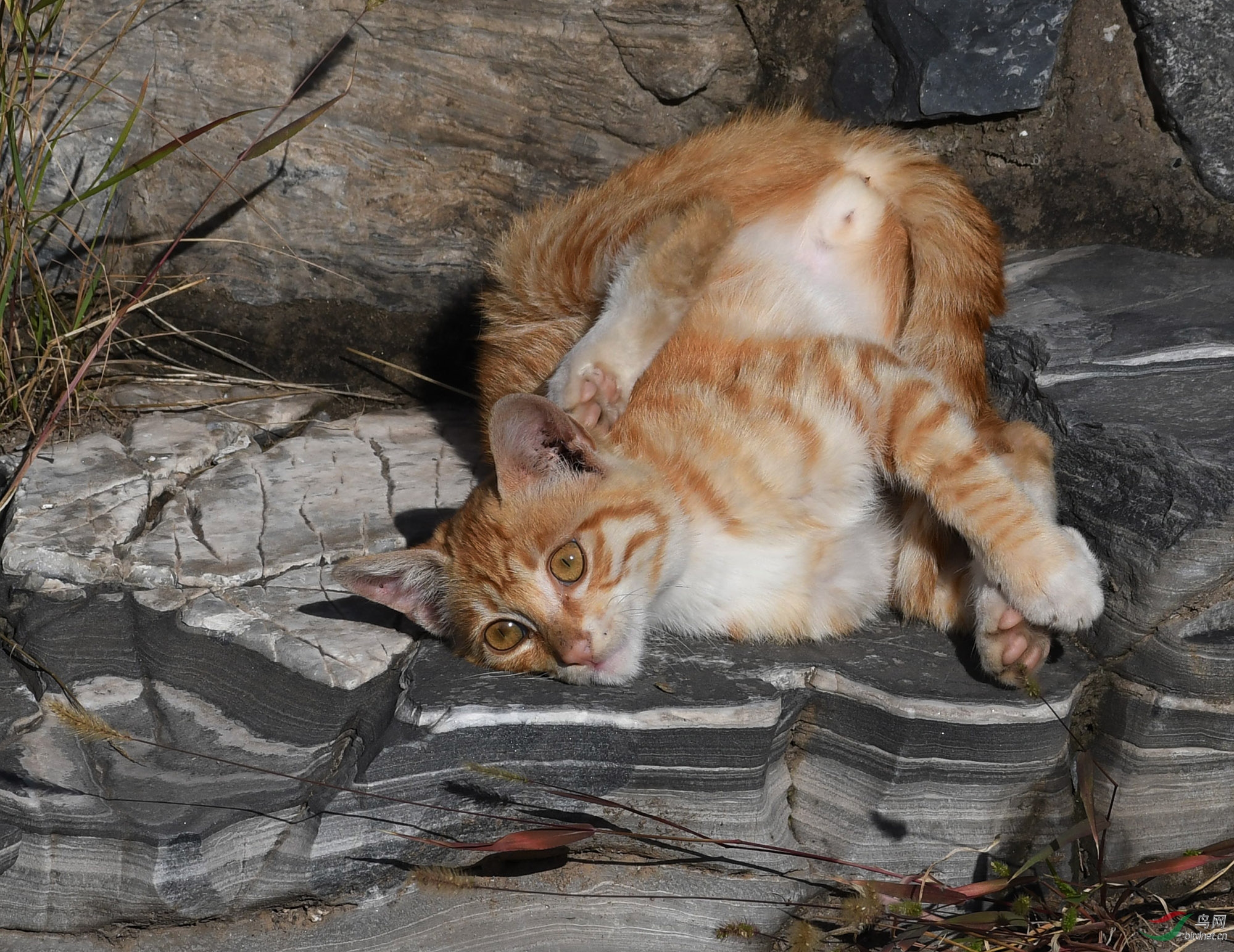 ������Ӱ 1430����.jpg