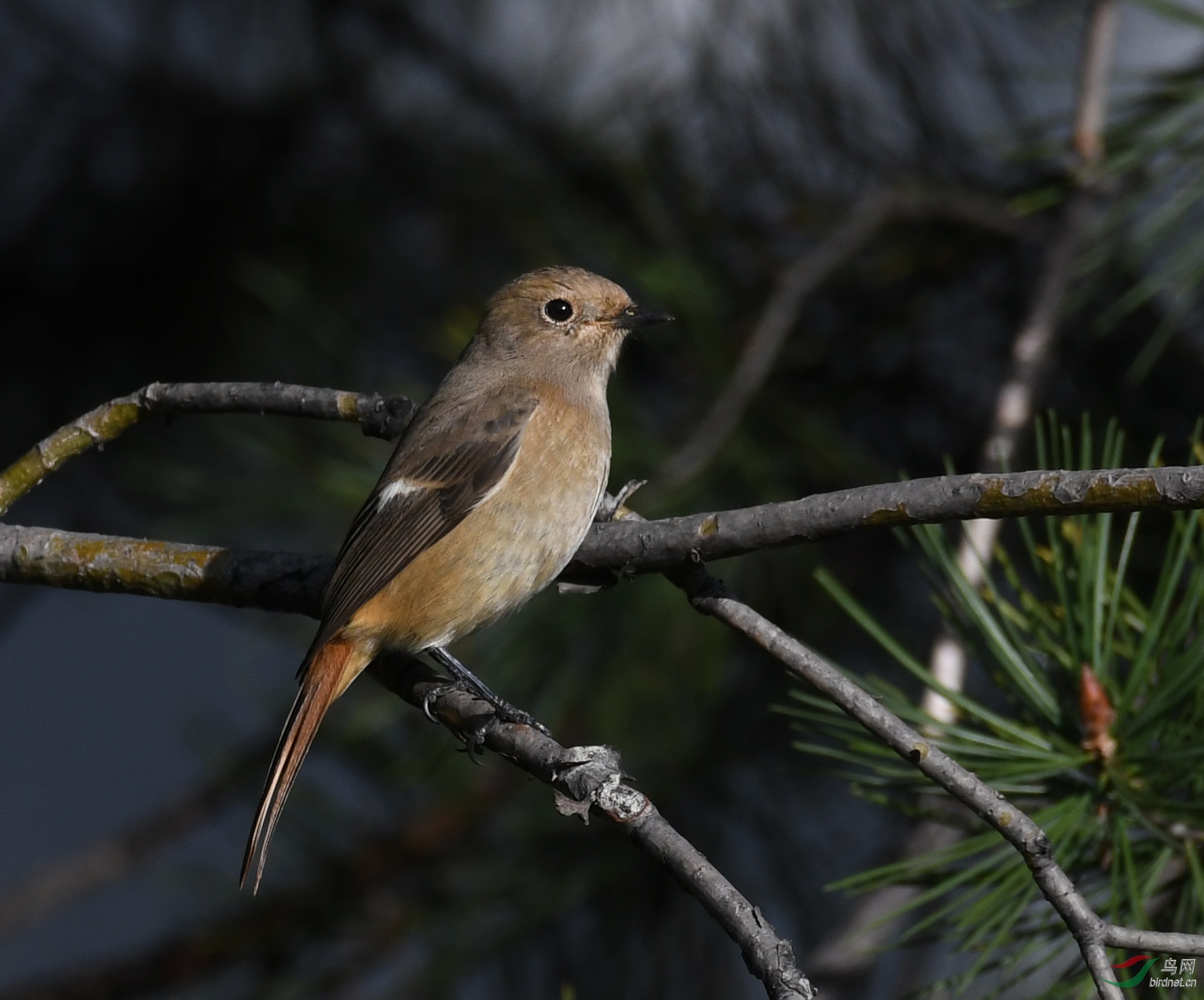 ������Ӱ 1629����.jpg