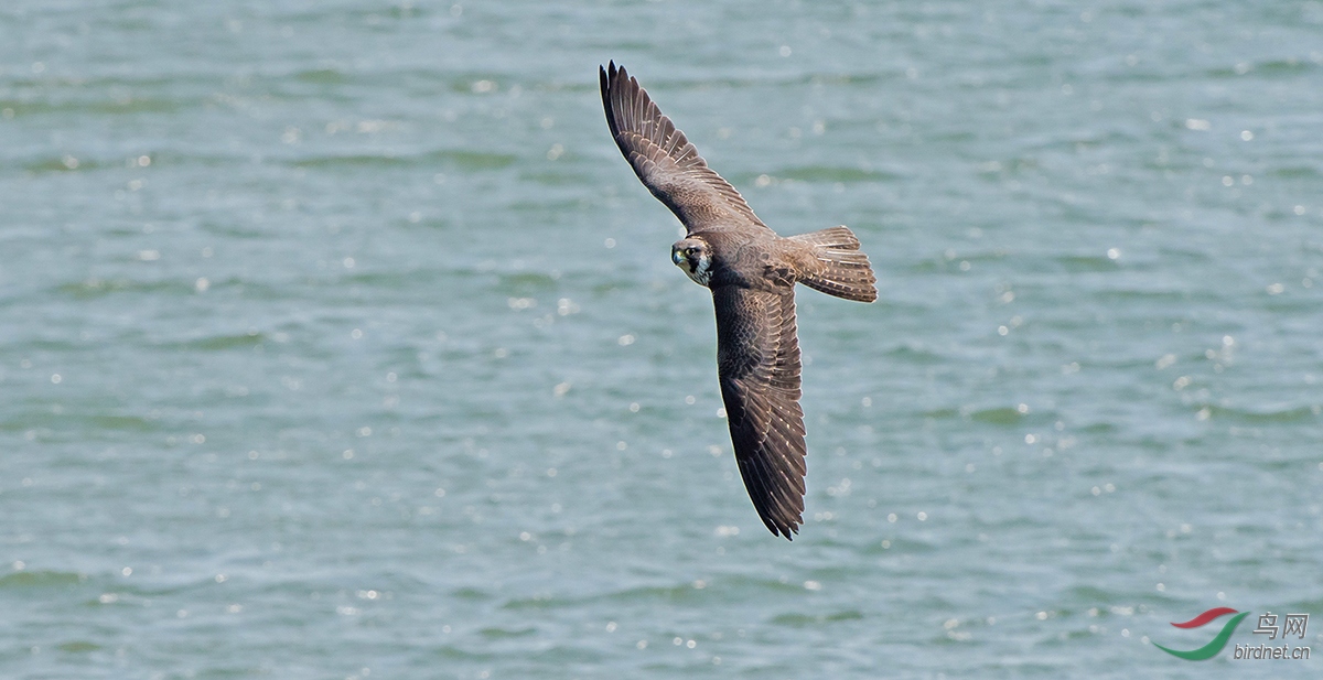 �������ĵ�