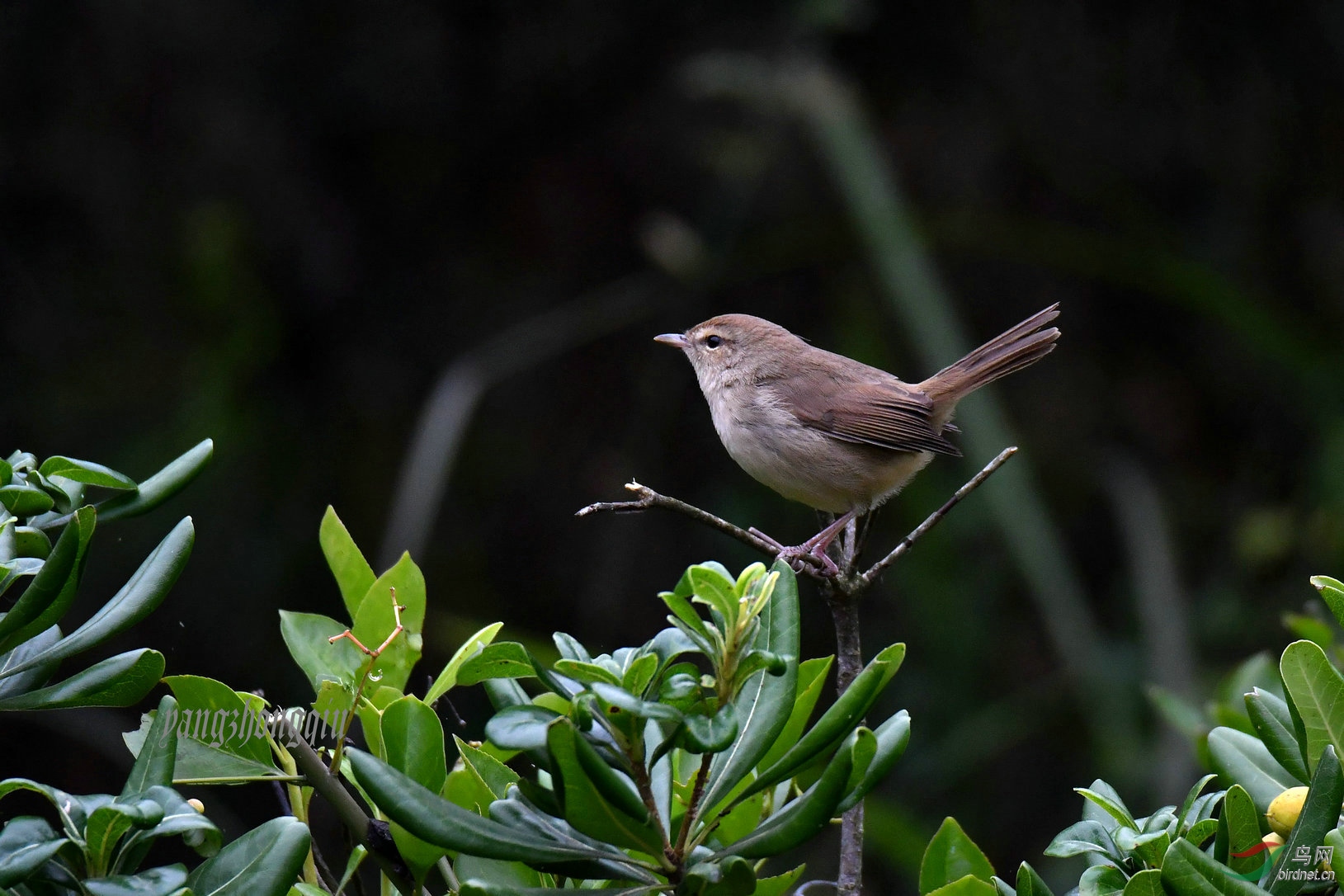 ����ǰ�ĵ�