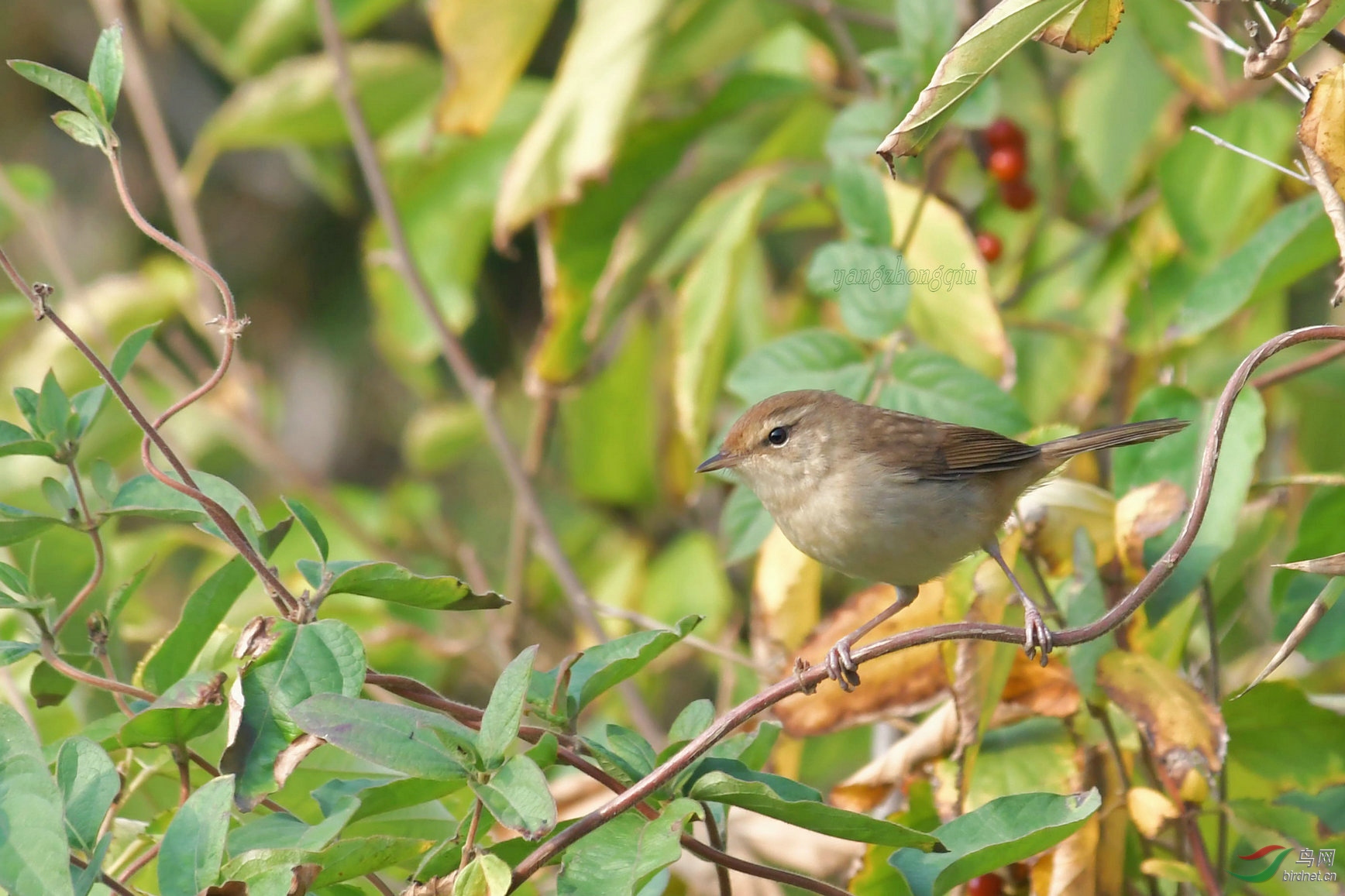 �����ĵ�1