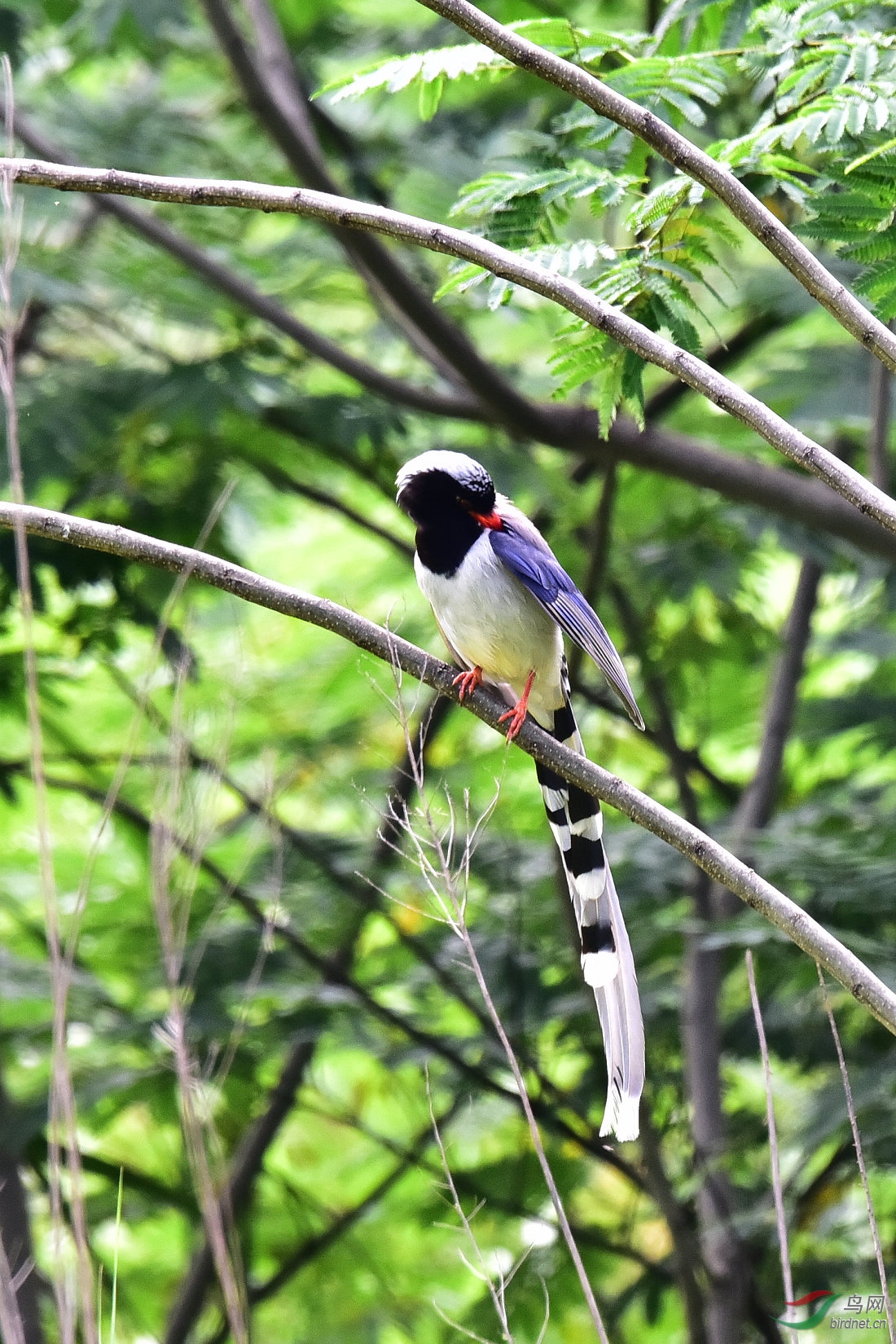 DSC_0586.JPG