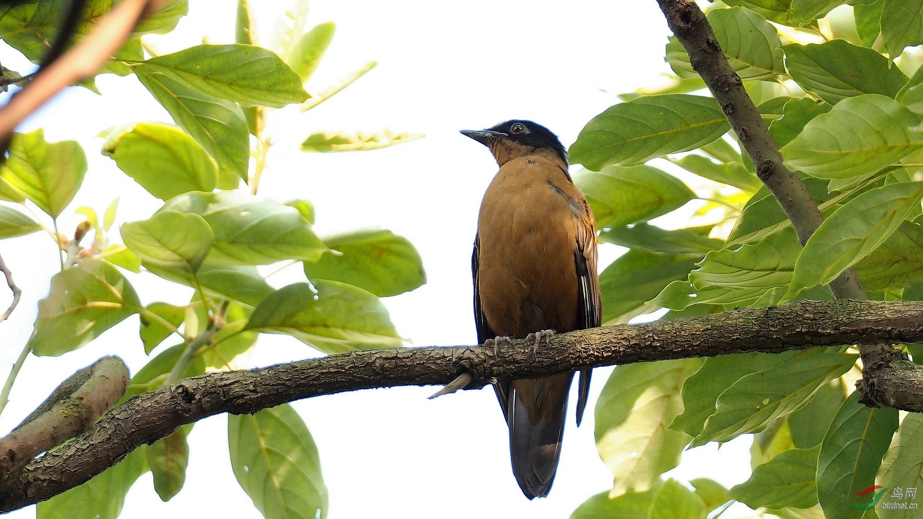 P9284297_����_DxO (����).jpg