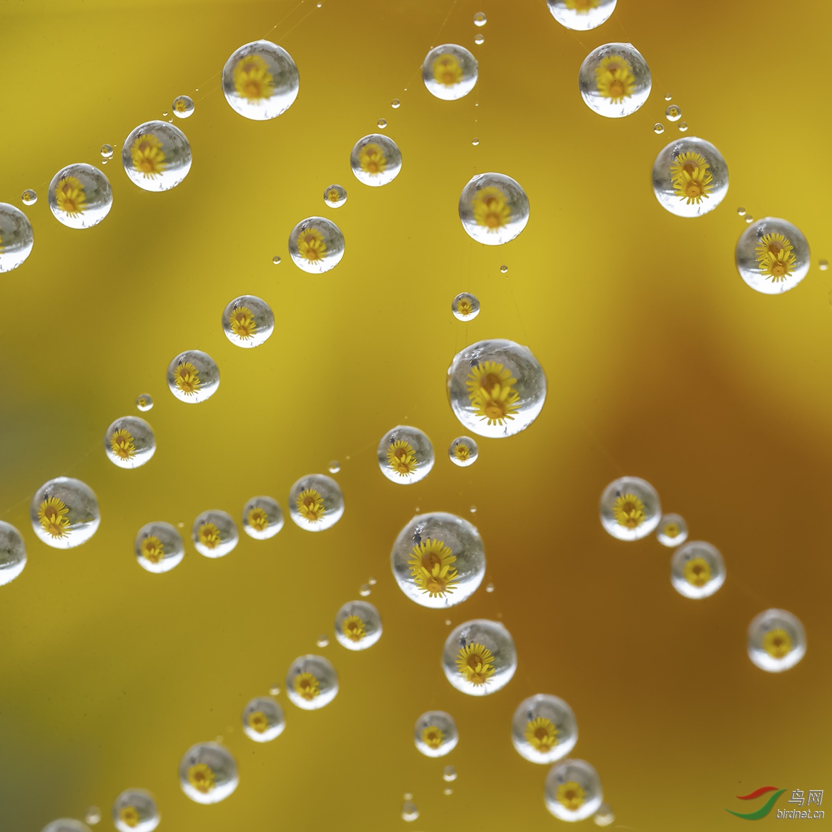 ɢ�������-500.jpg