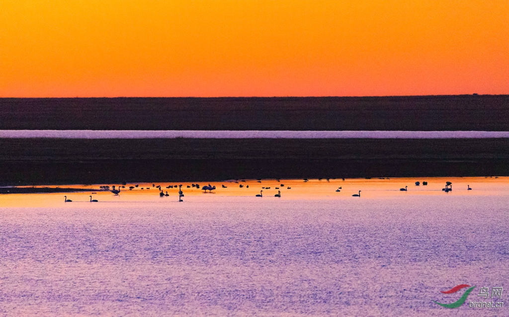 _16A1820  01_����.jpg