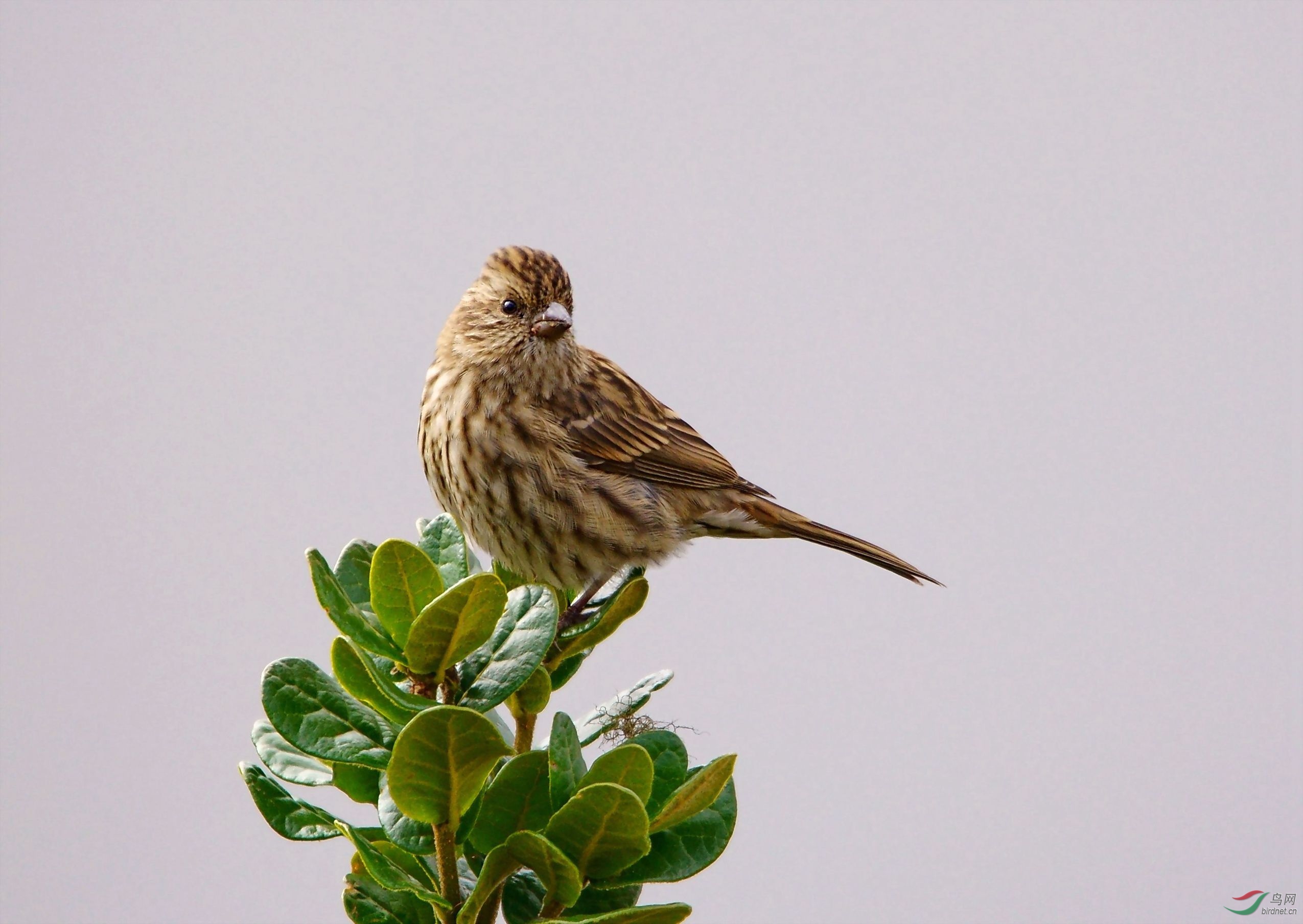 03�����ڿ�����