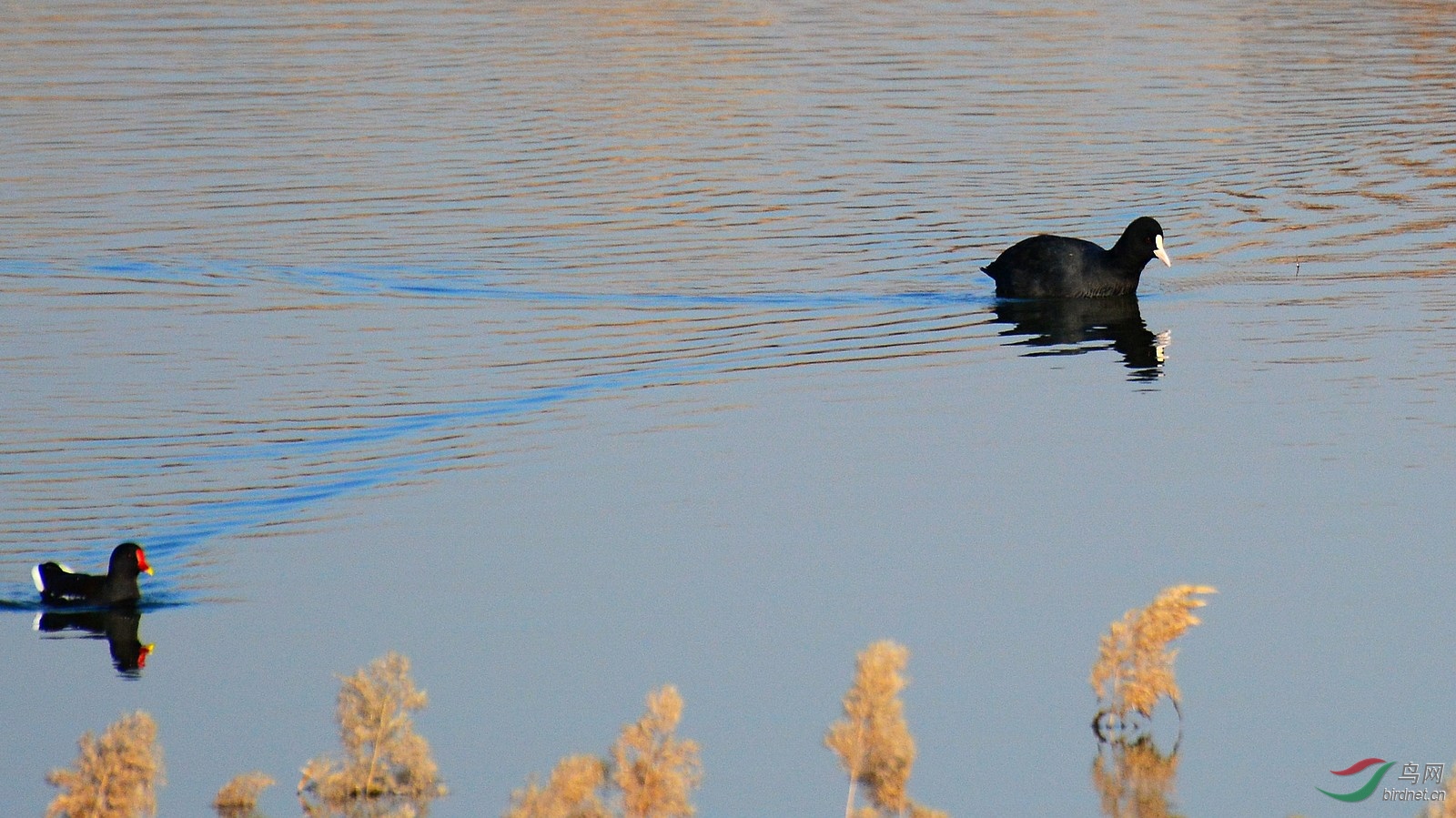 DSC_6736.JPG
