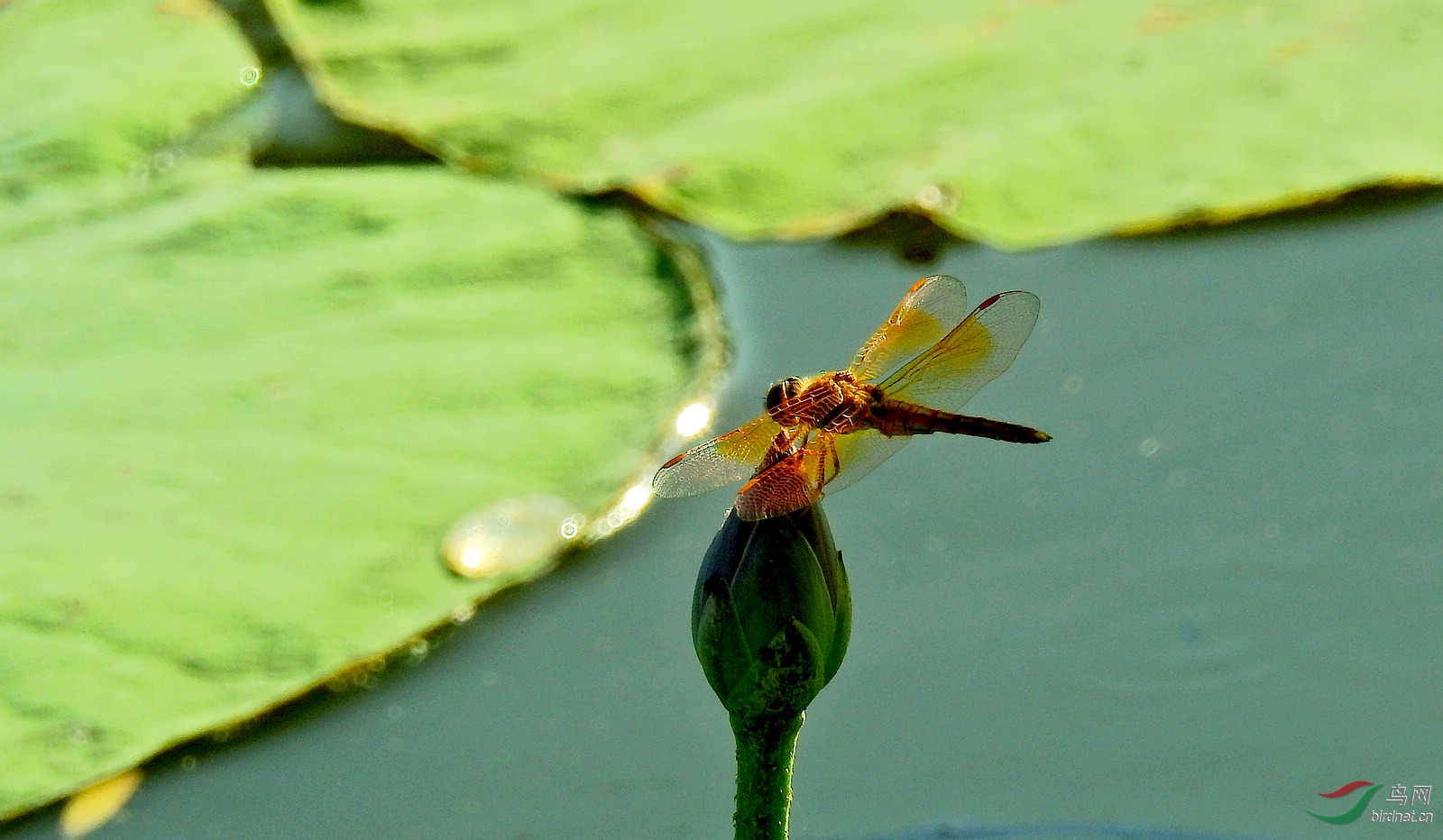 DSCN9232.JPG