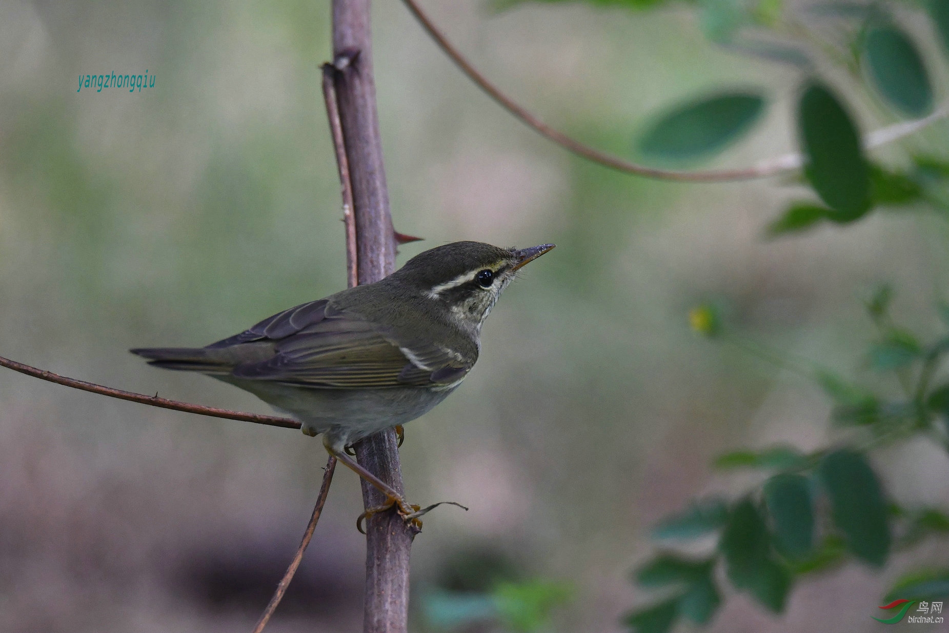DSC_6207_副本.jpg