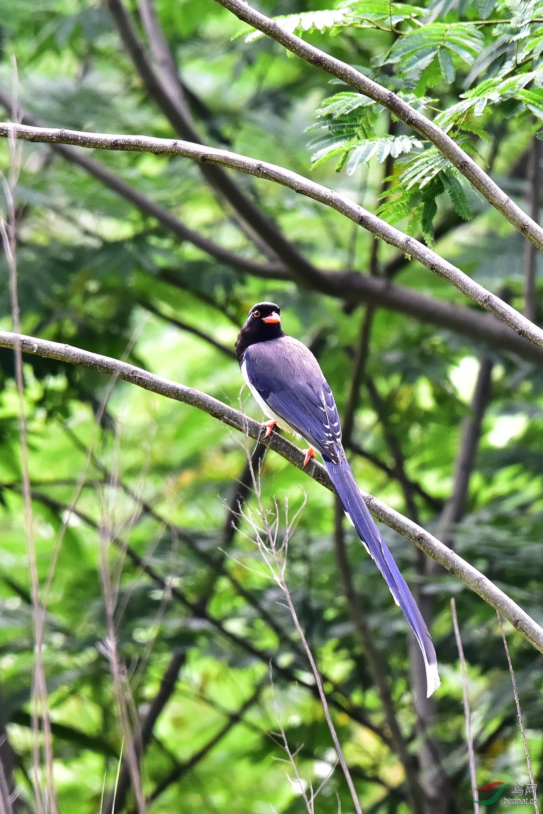 DSC_0593.JPG