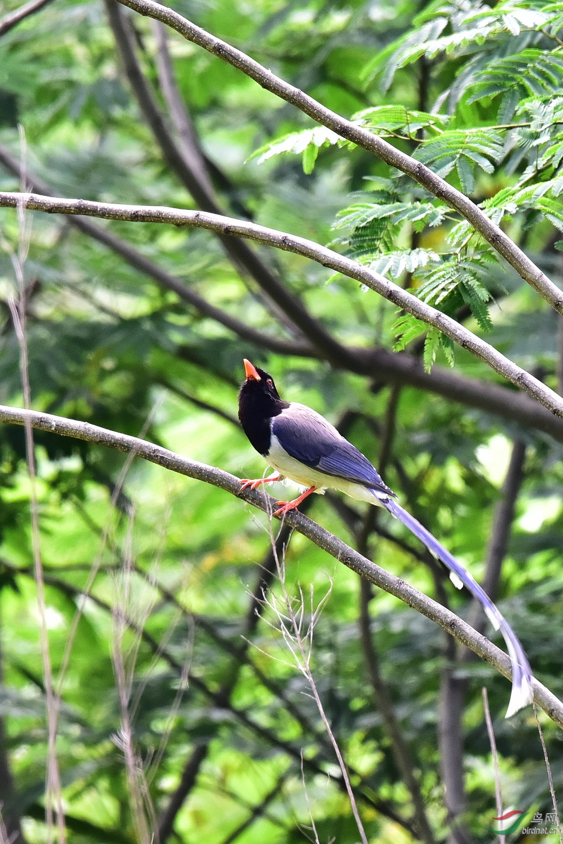DSC_0594.JPG