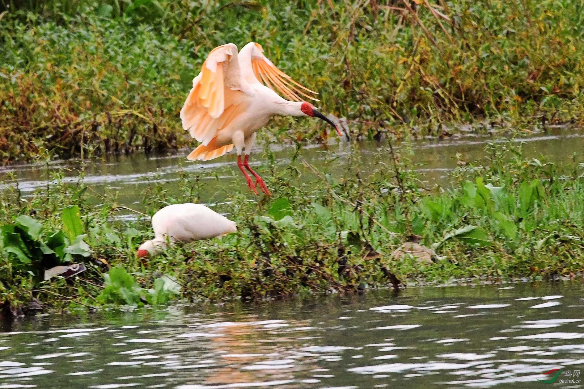 NIKON CORPORATION_NIKON D500_2453568-2456069_000.JPG