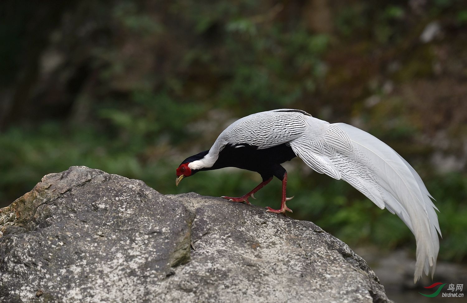 D8I_0652.jpg