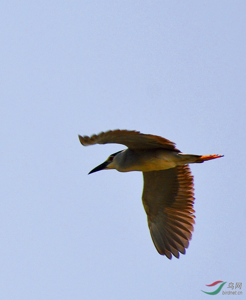 DSC_1015.JPG