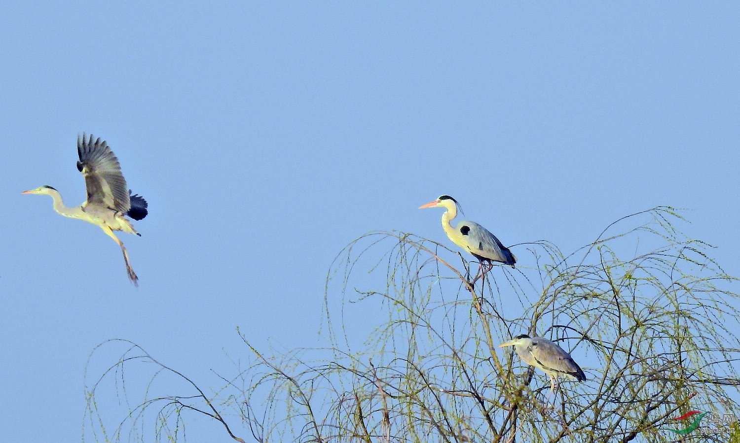 DSCN4959.JPG