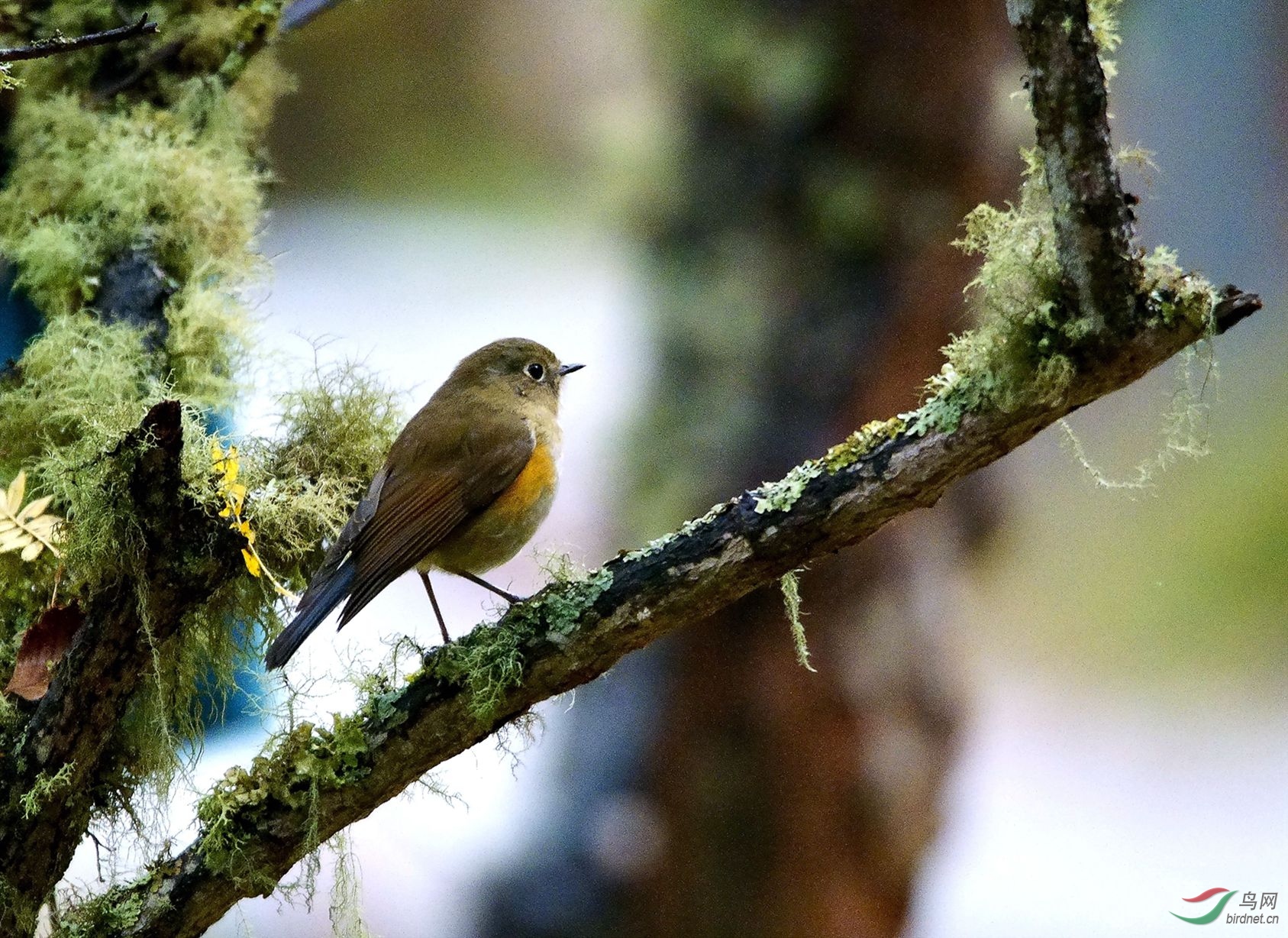 02�����ڿ�����