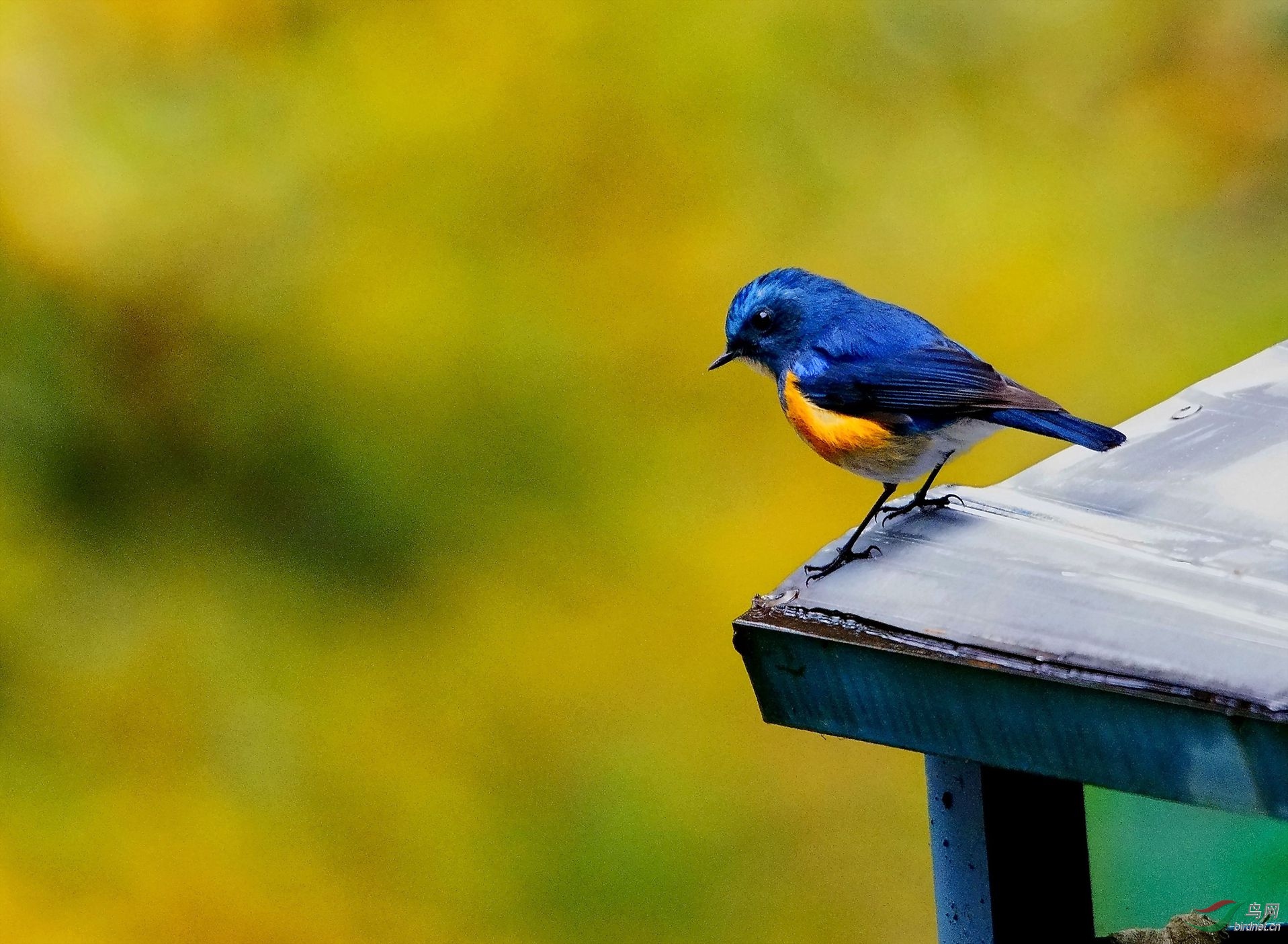 03�����ڿ�����