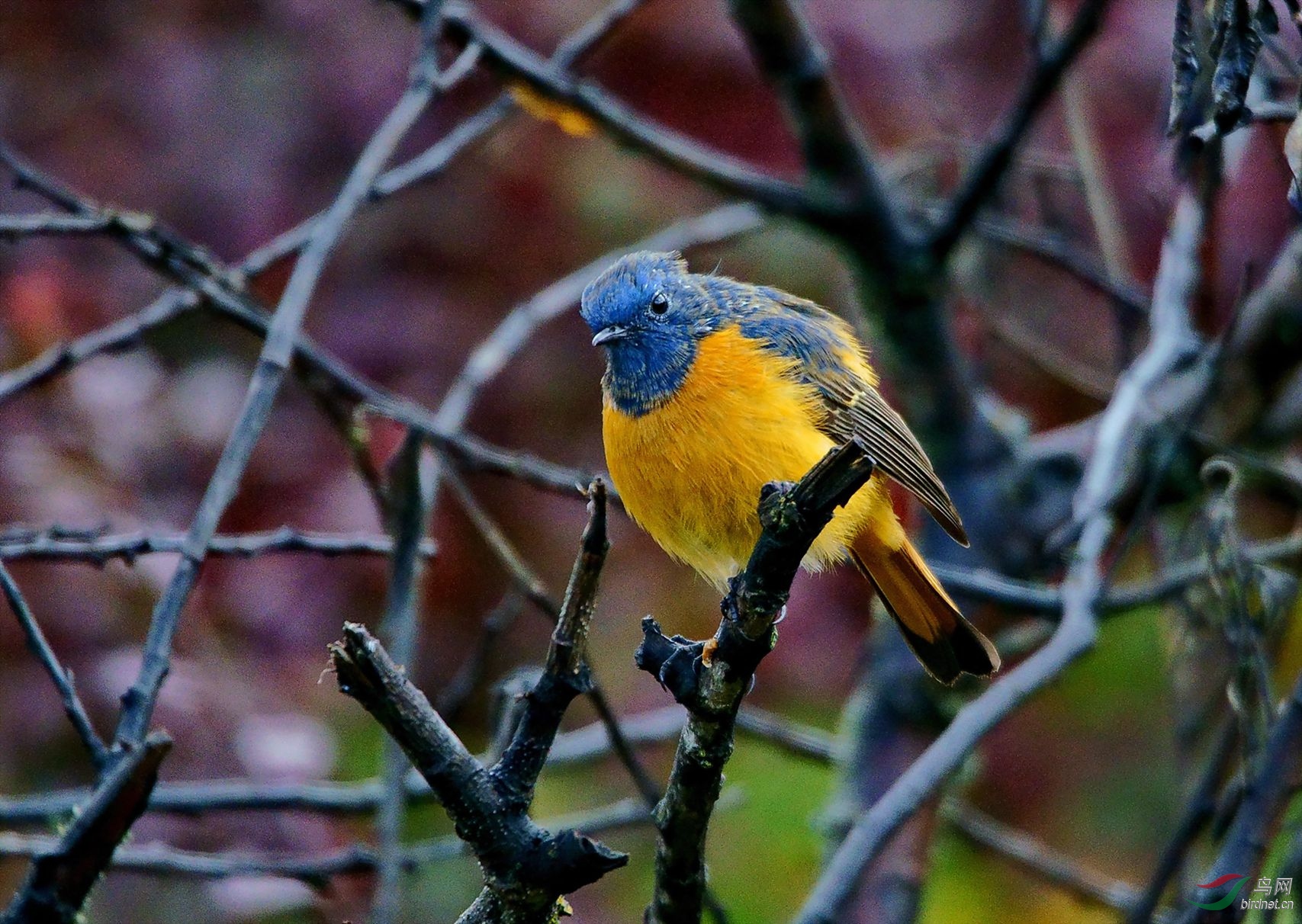 05�����ڿ�����