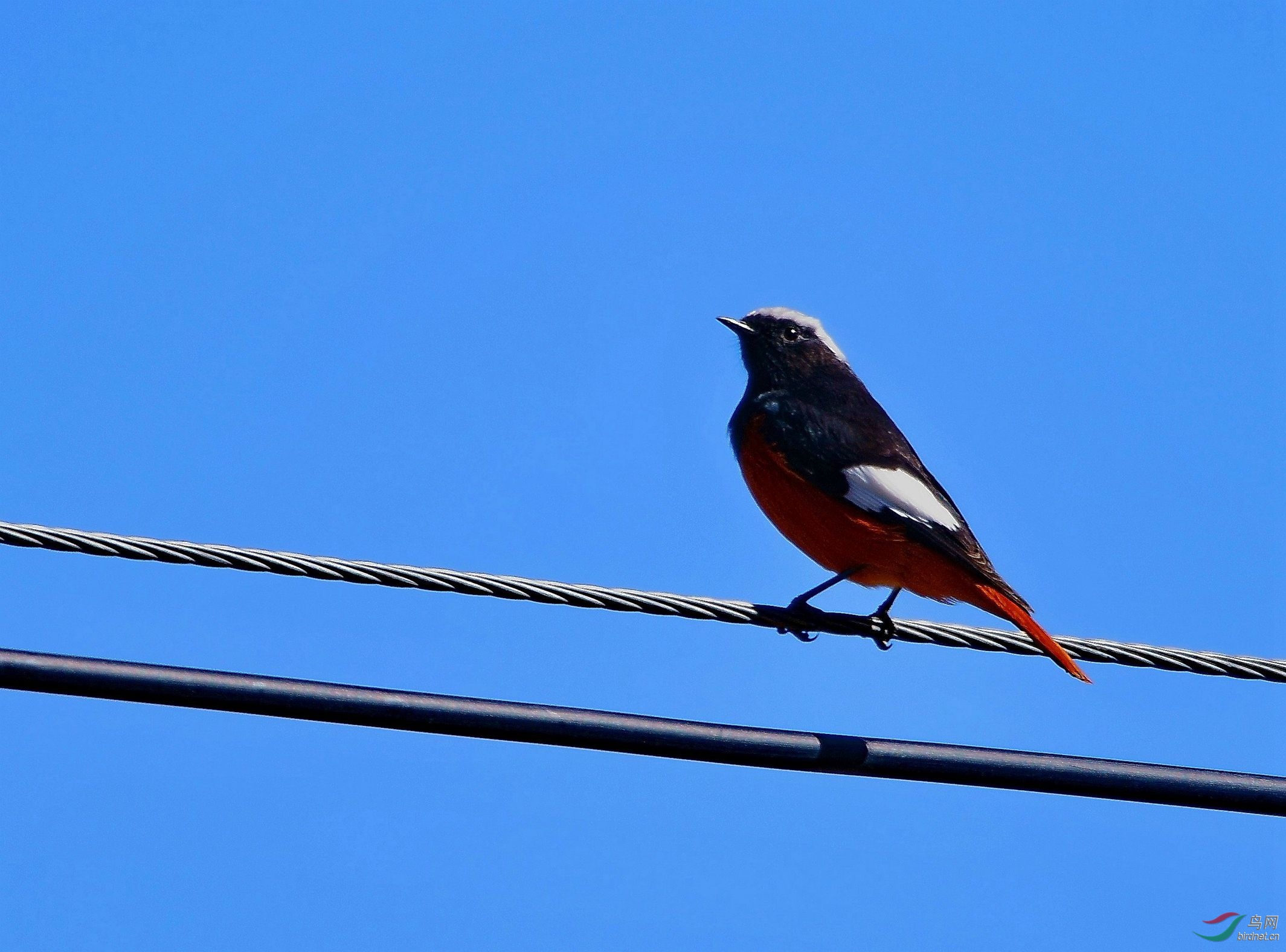 10��������׿Ӻ�����