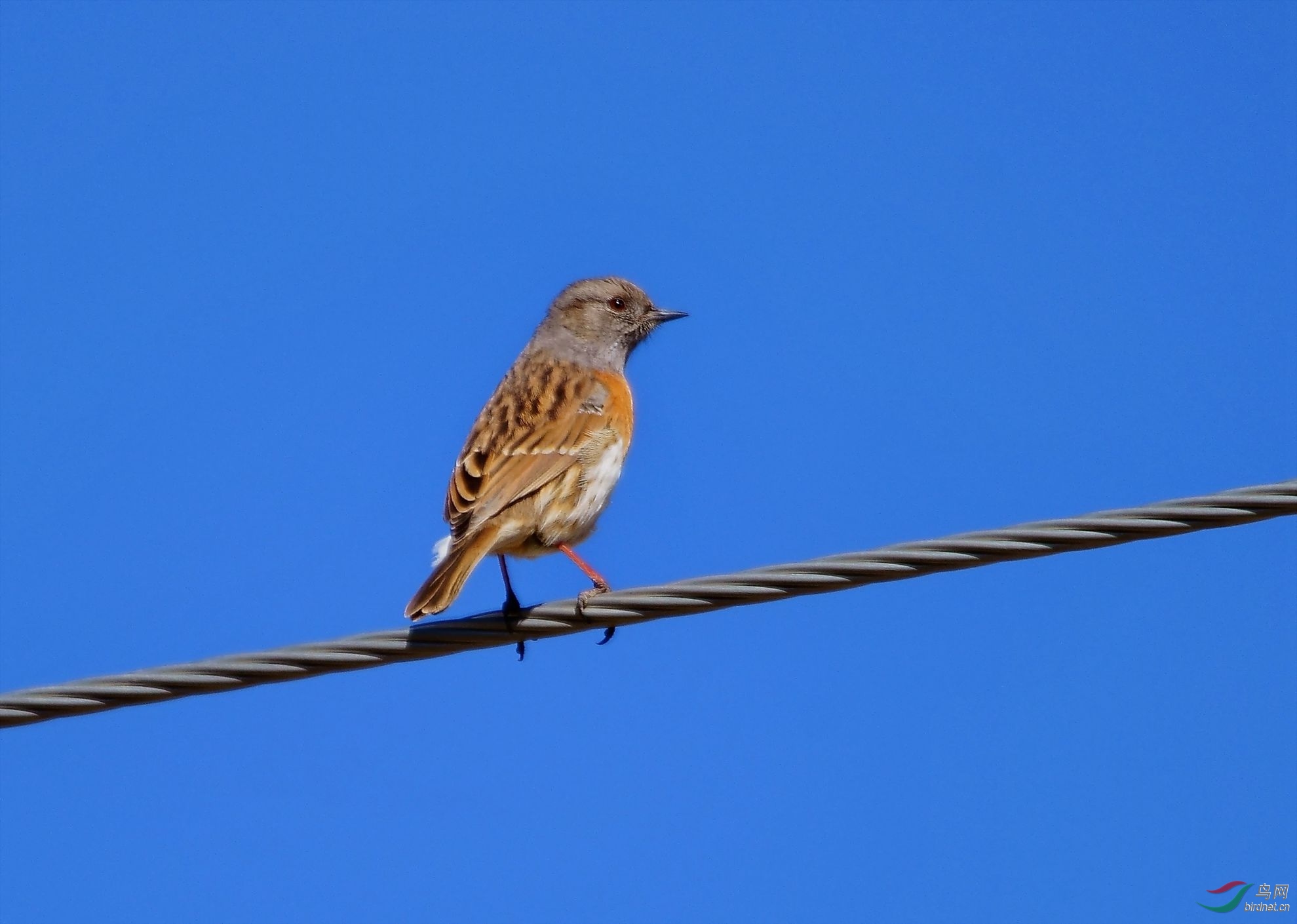 11��������׿Ӻ�����