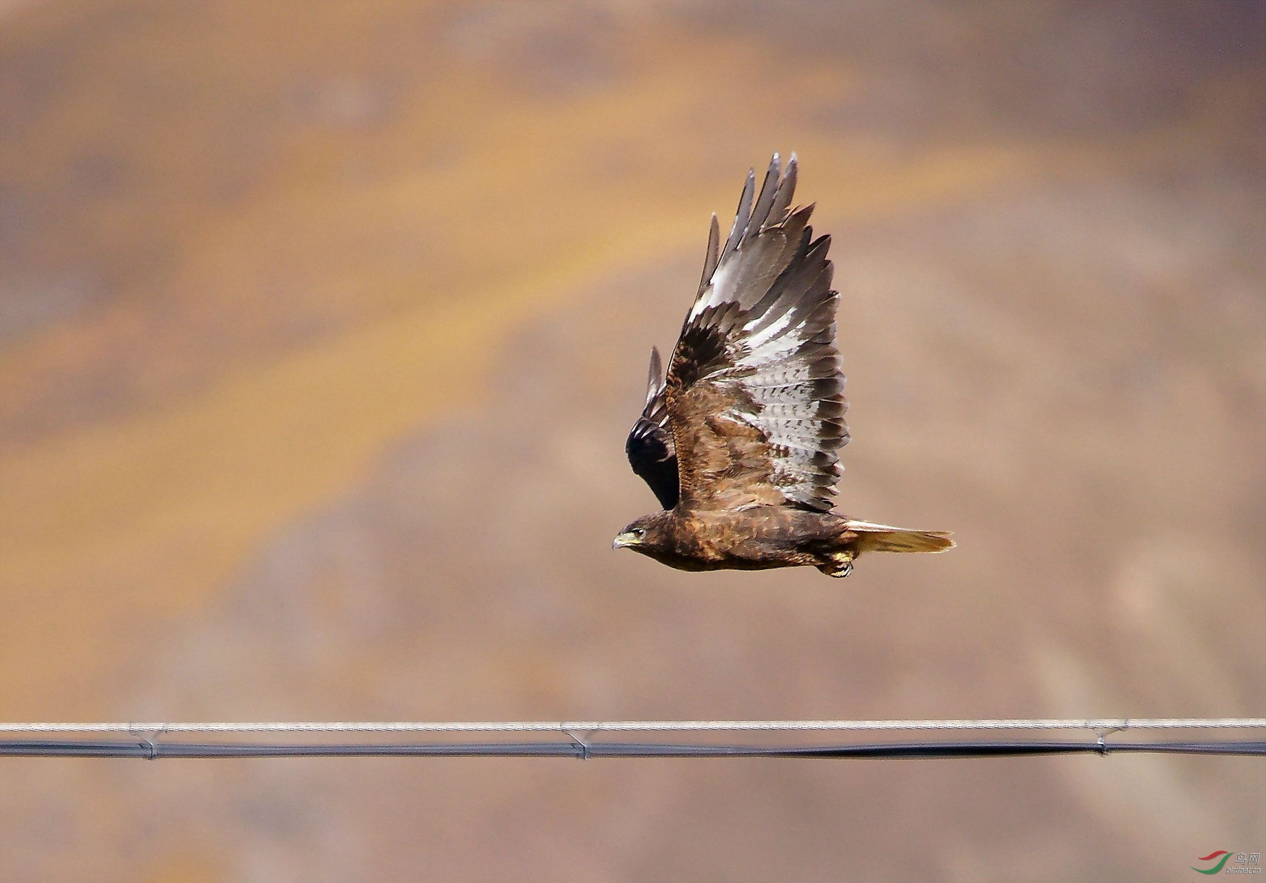 12��������׿Ӻ�����