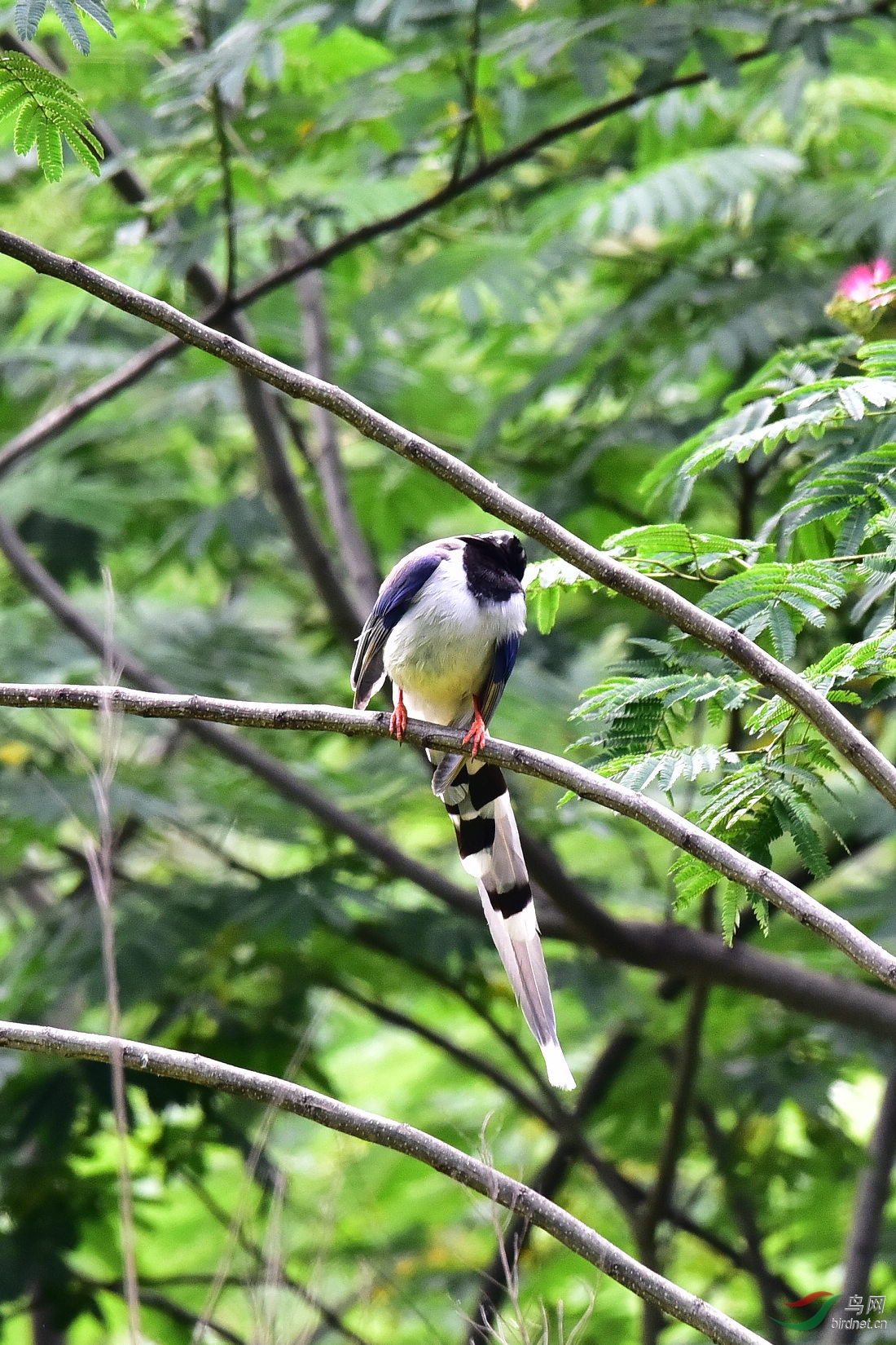 DSC_0596.JPG