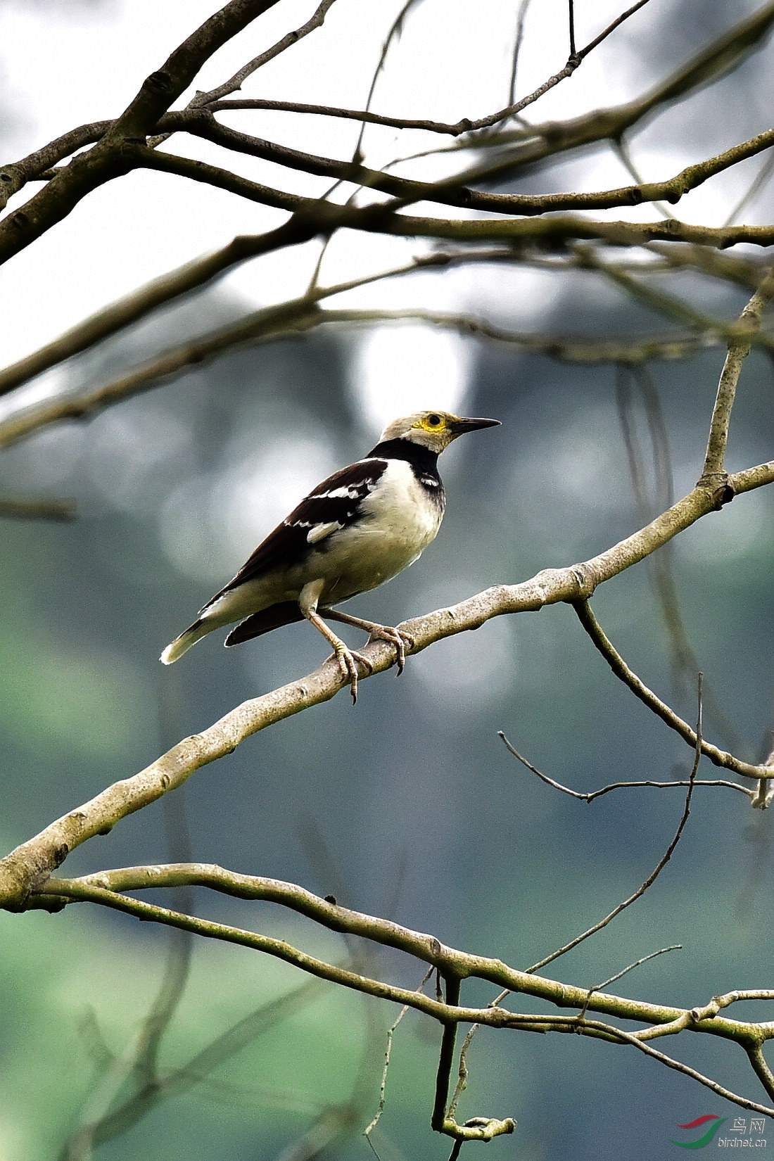 DSC_0175.JPG