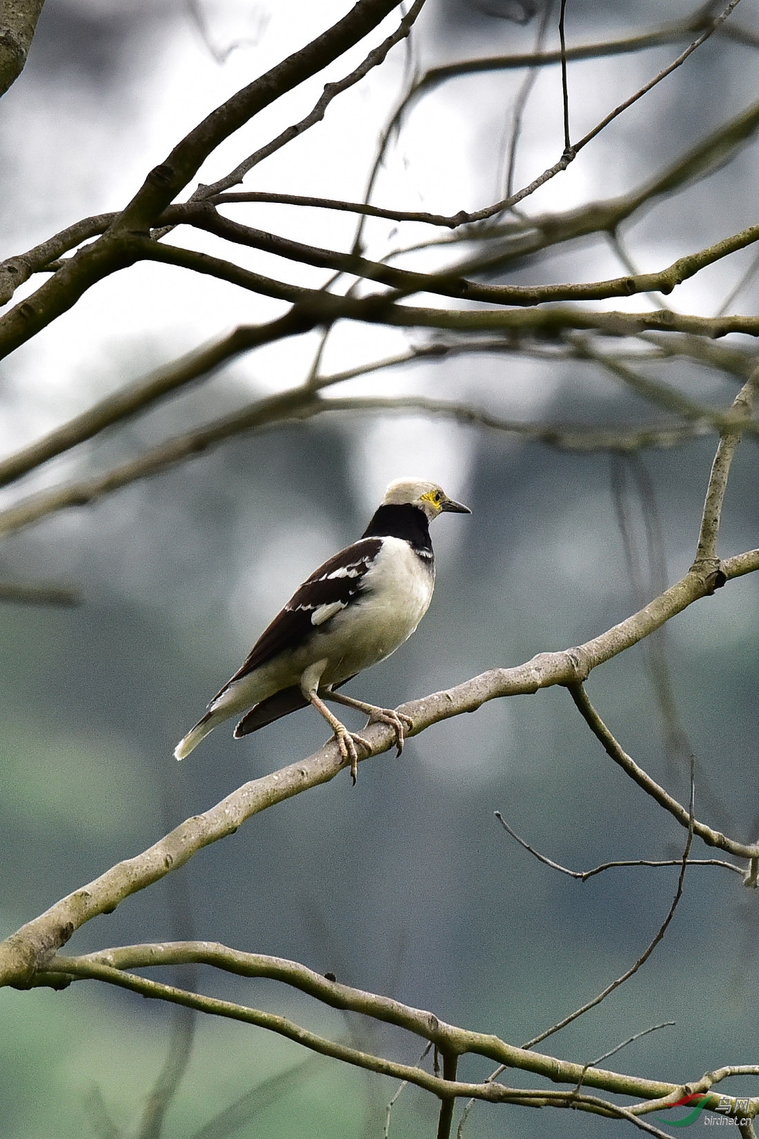 DSC_0176.JPG