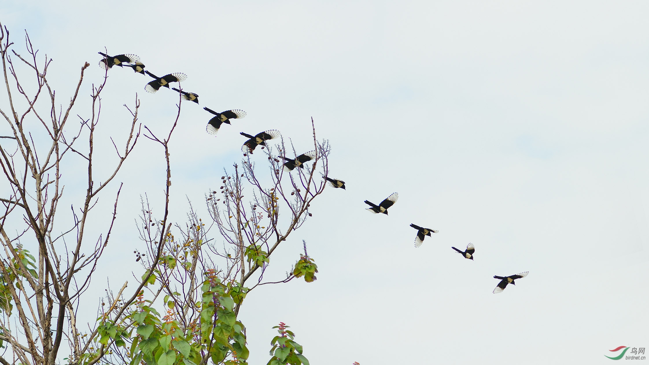 DSC_9828 ��������� �ϴ�.jpg