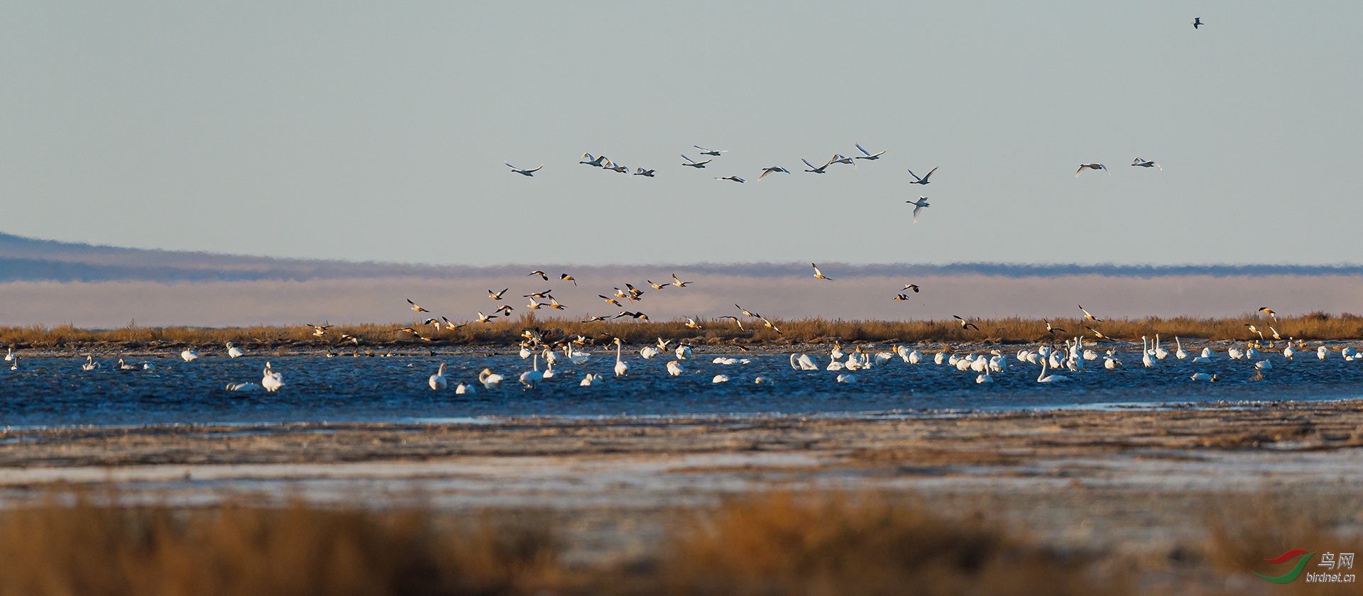 _DSC1496С4.jpg