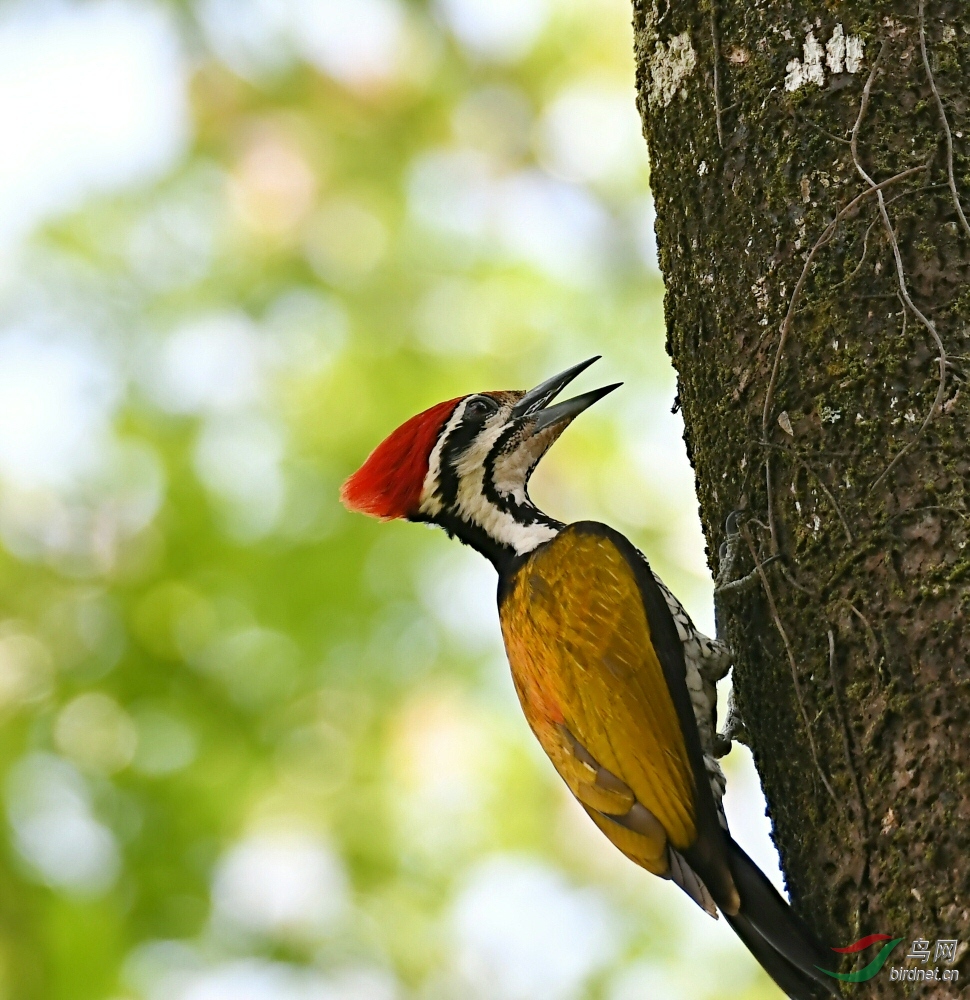 DSC_6486.jpg