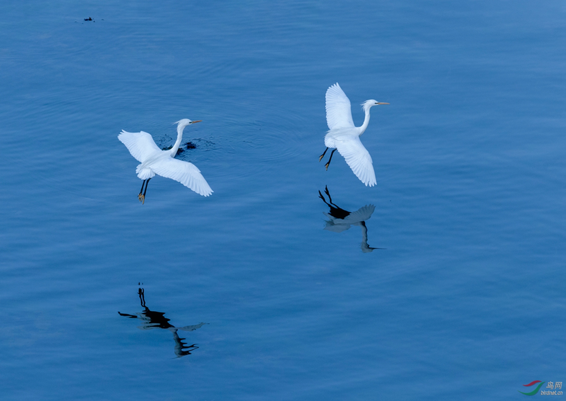 _K8I1868  01_����.jpg