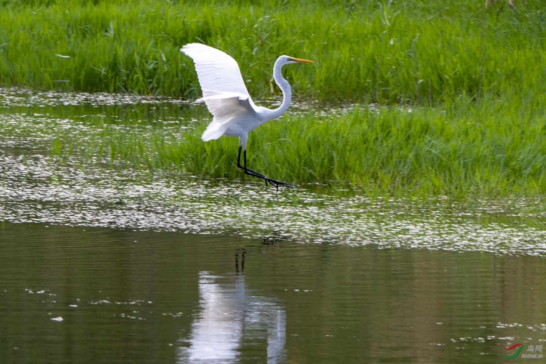 D50_4626.jpg