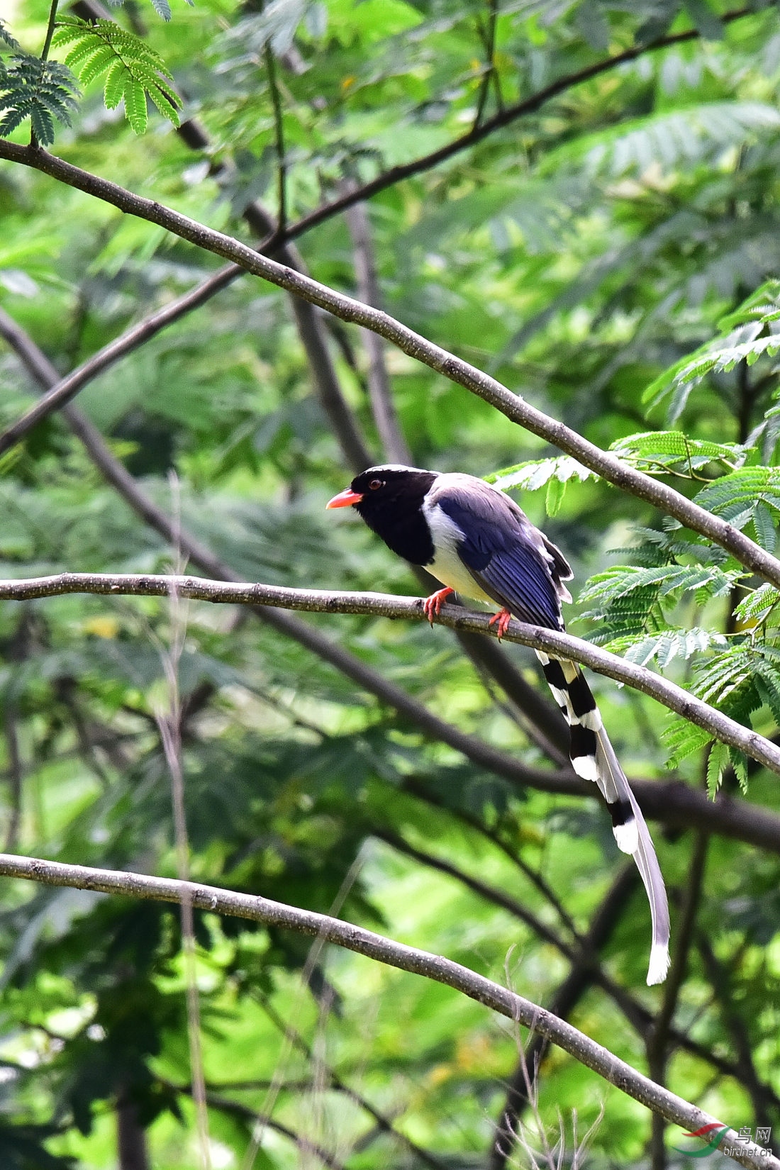 DSC_0598.JPG