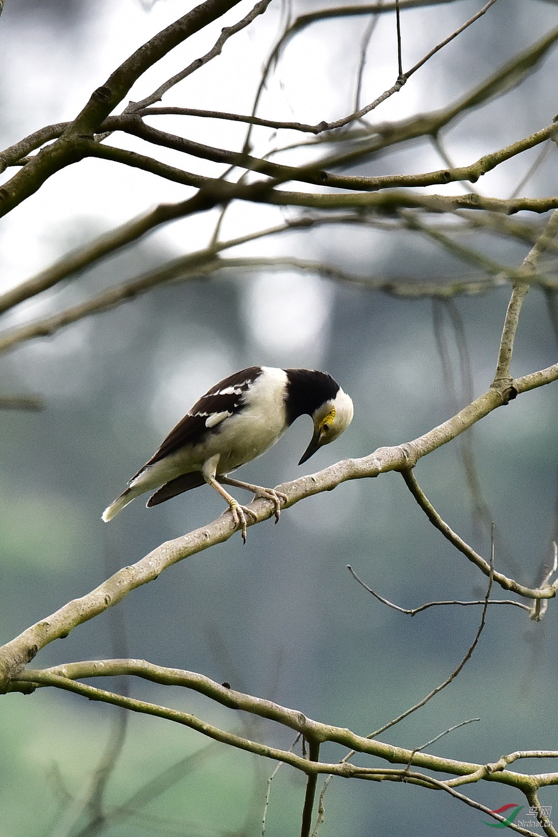 DSC_0178.JPG