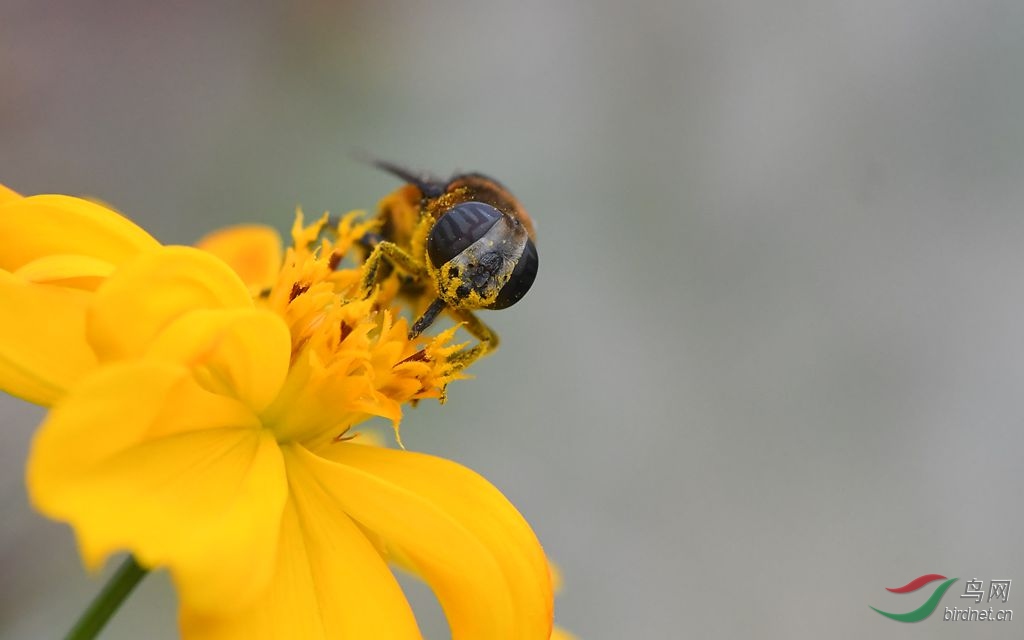 DSC_9538_����.jpg
