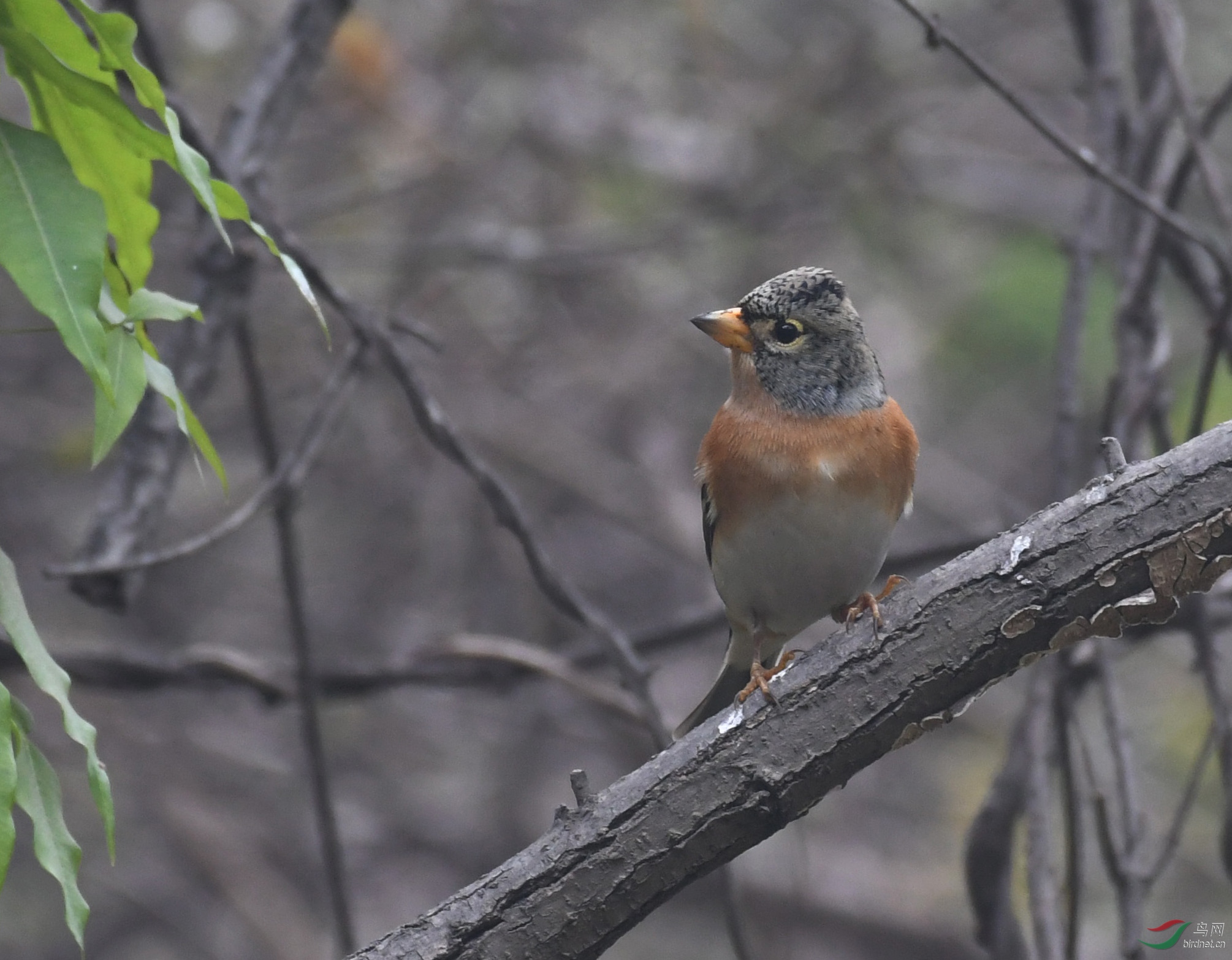 ������Ӱ 007����.jpg