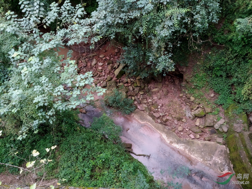 ΢��ͼƬ_20191023204549.JPG