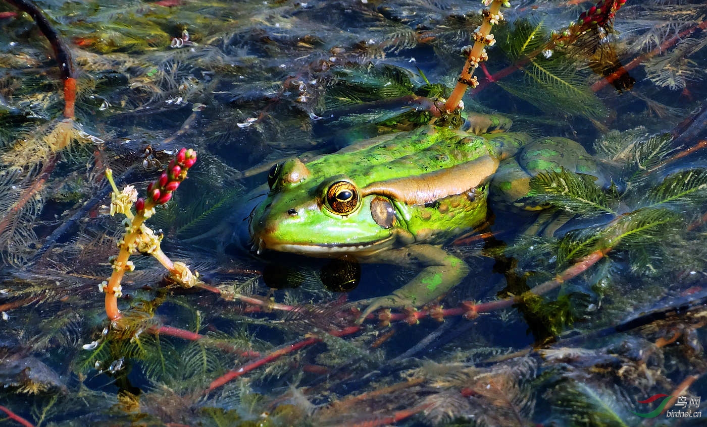 DSC05798.JPG