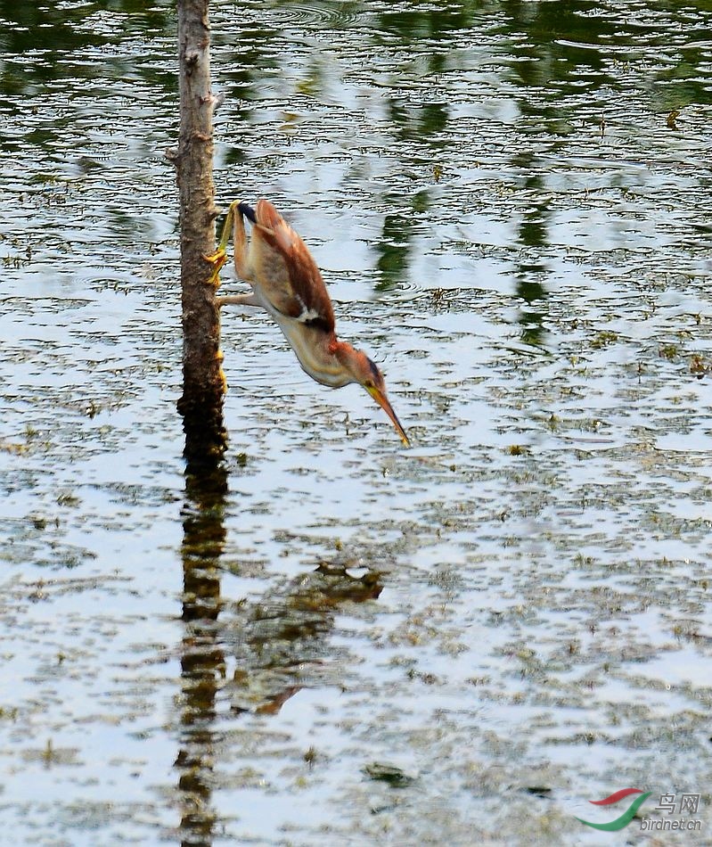 DSC_5777.JPG