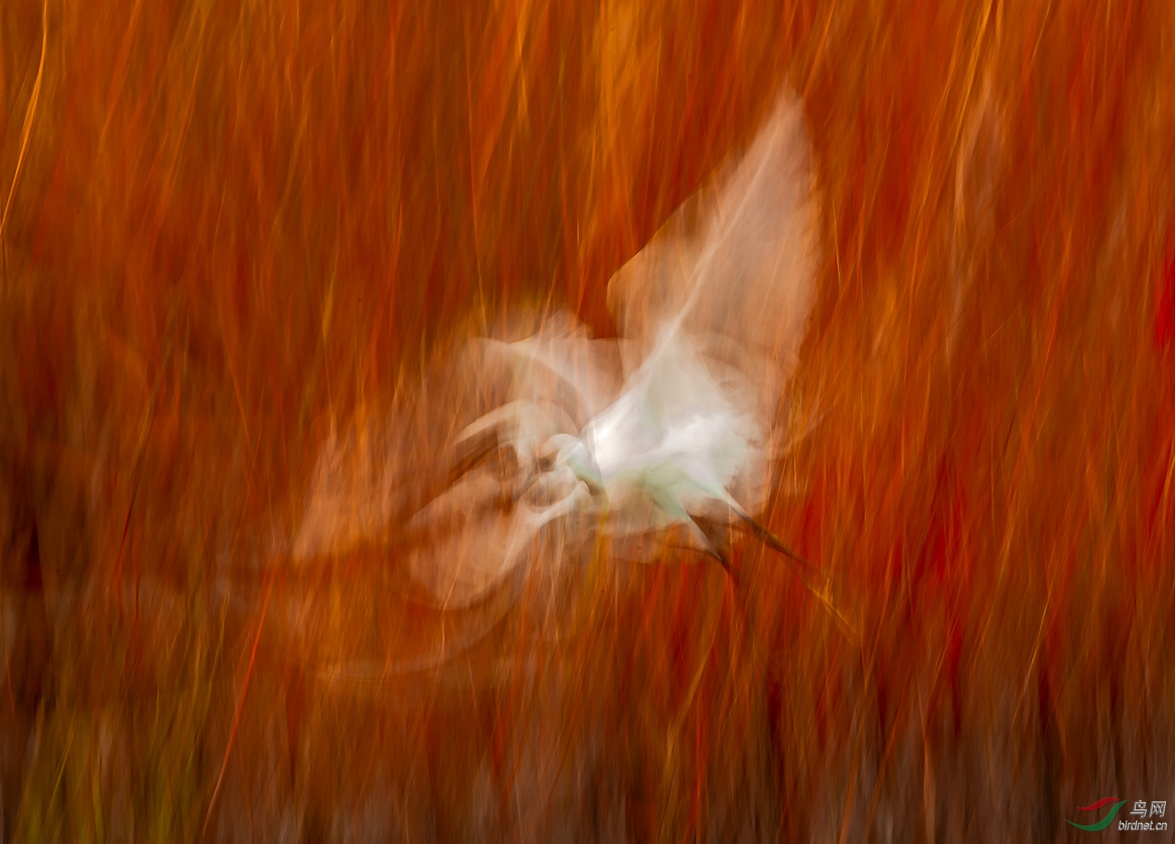 _DSC9354.jpg