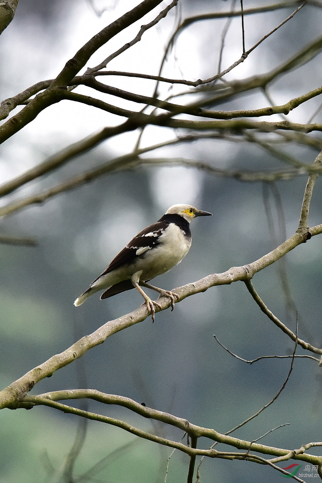 DSC_0179.JPG