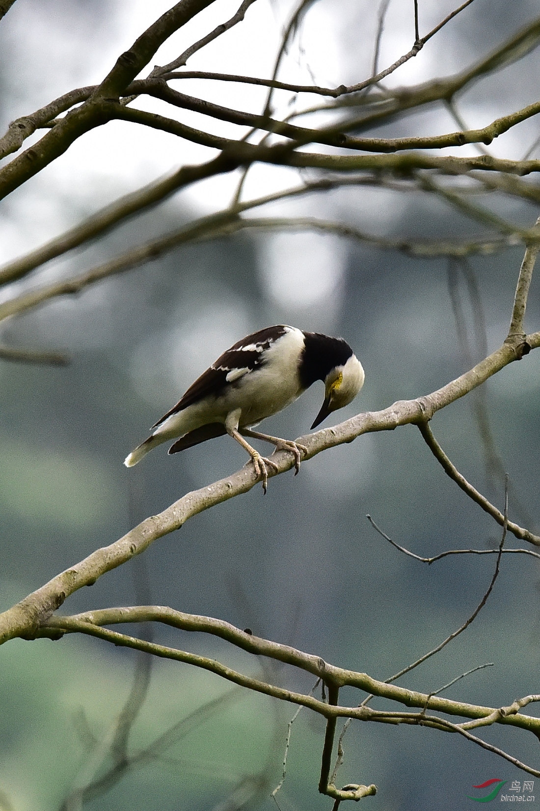 DSC_0180.JPG