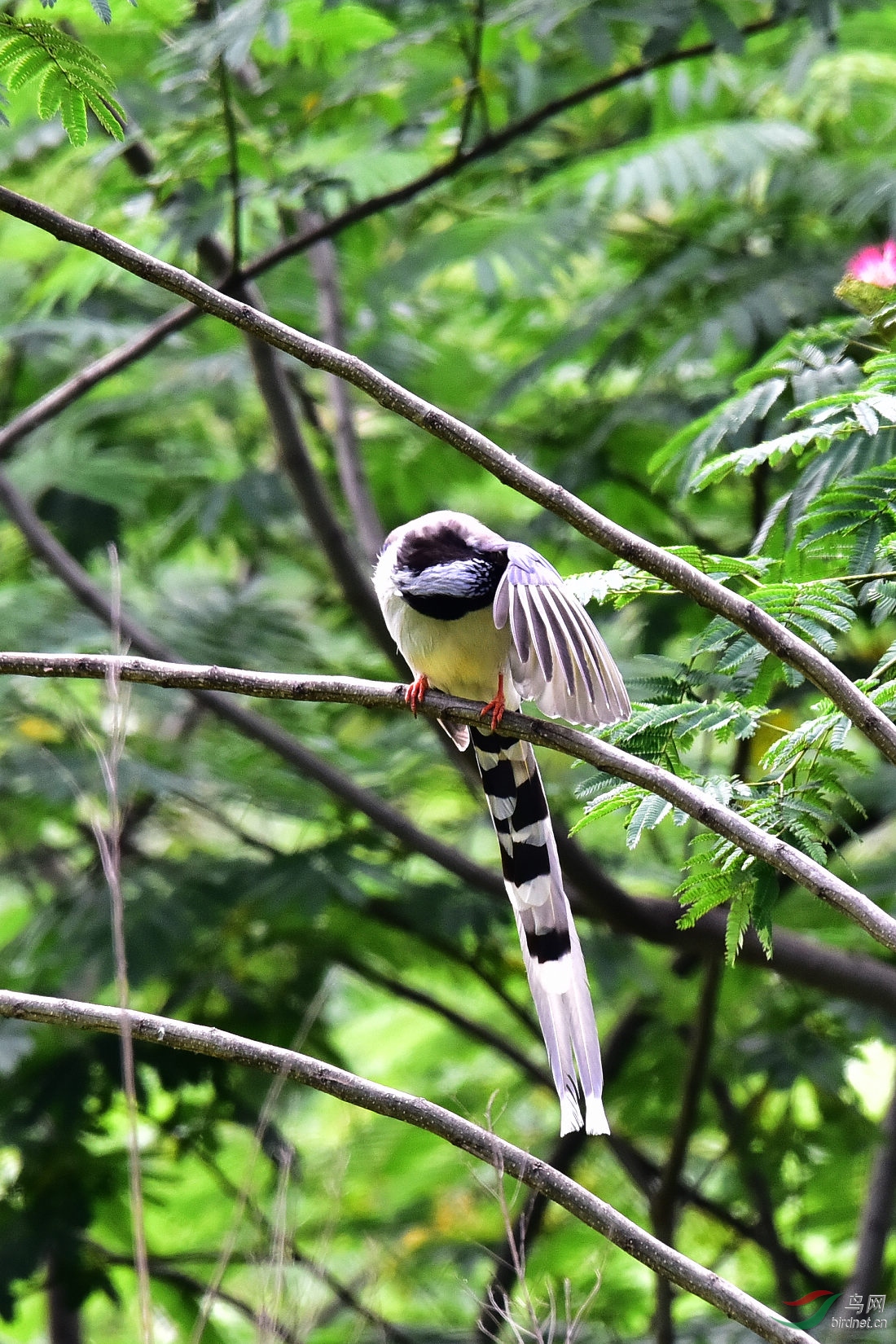 DSC_0601.JPG
