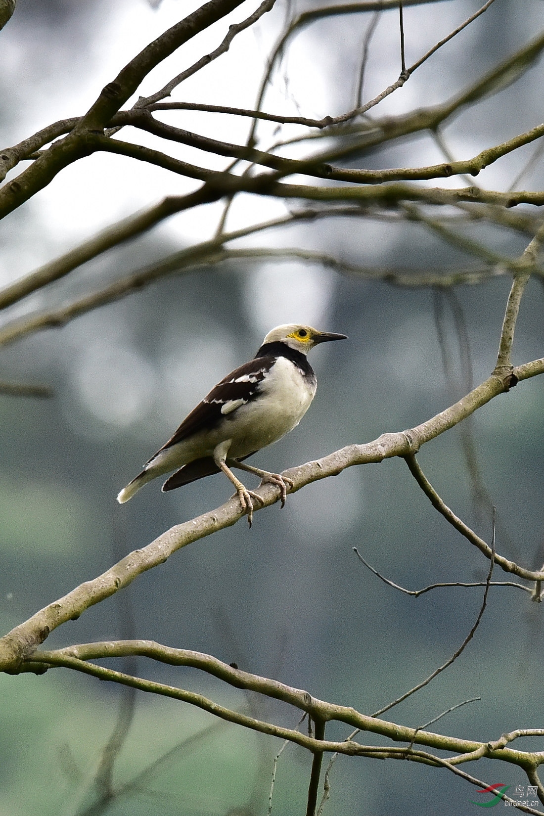 DSC_0181.JPG