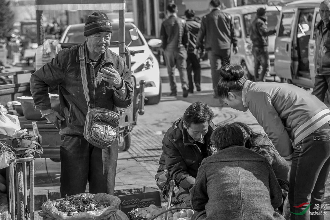 ��Ƭ 043_����_����.jpg