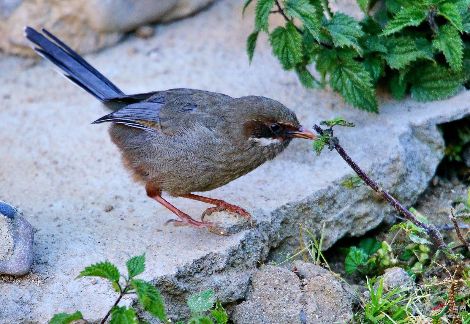 10��������ɫ��