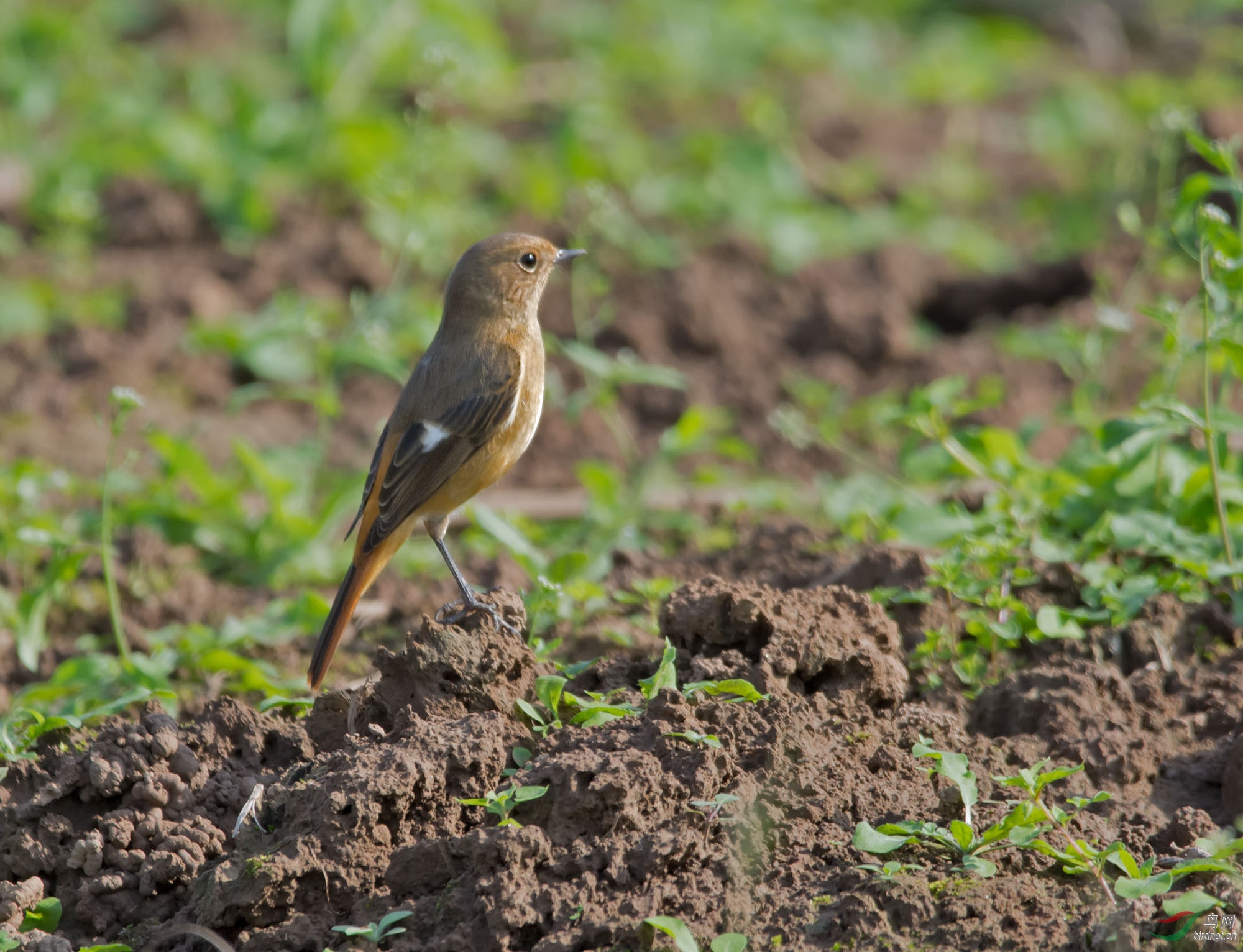 DSC_2722.jpg