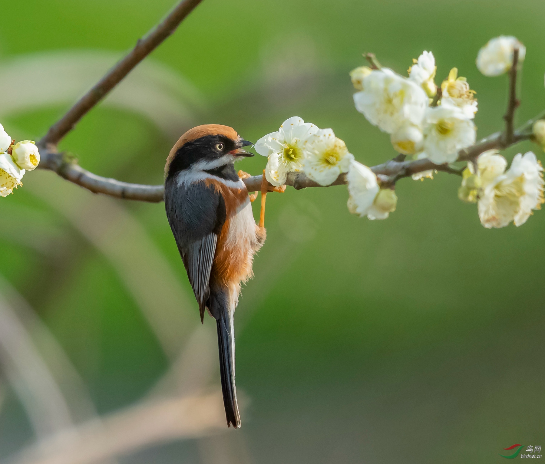 AK8I9562  01_����.jpg