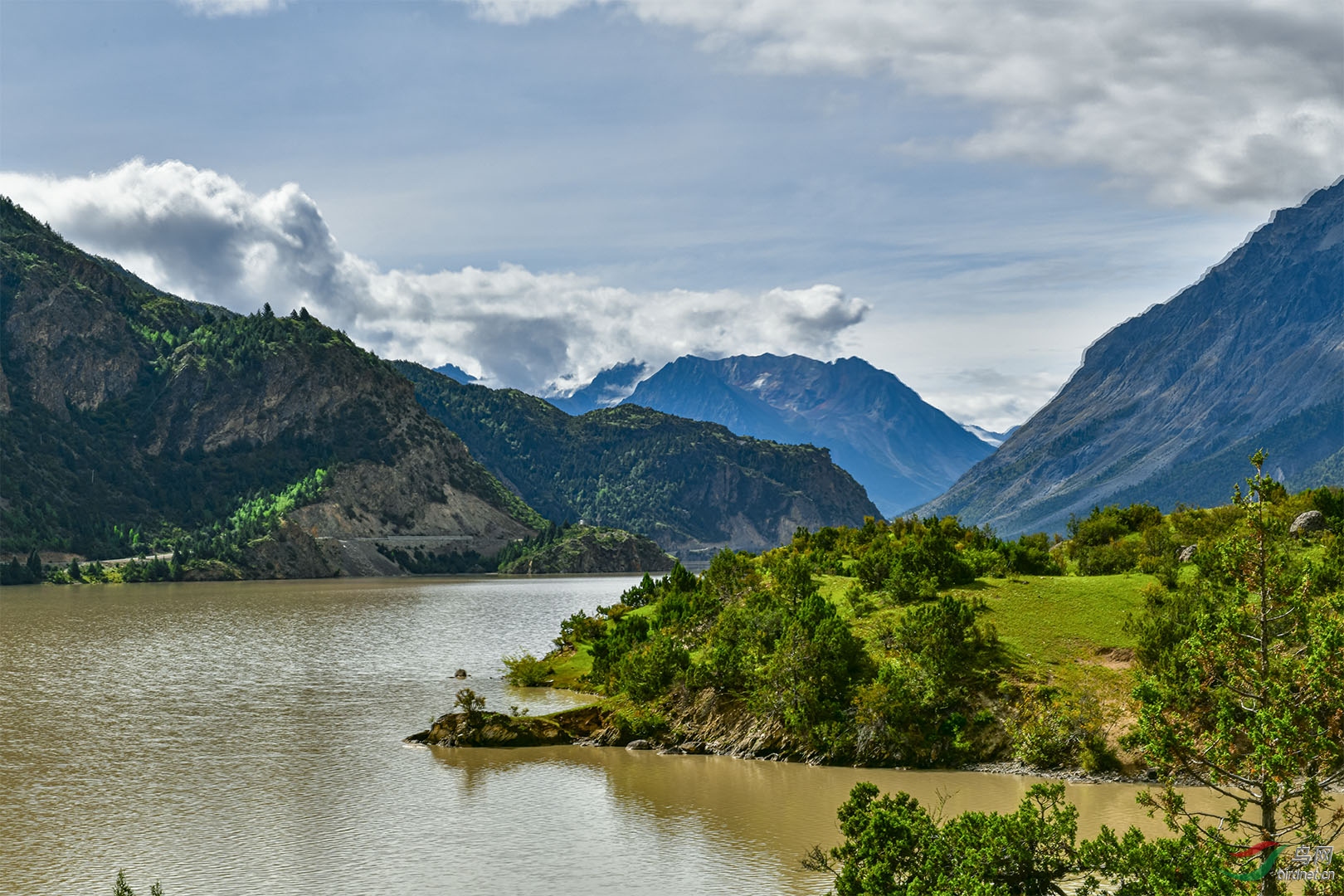 DSC_5424-1.jpg